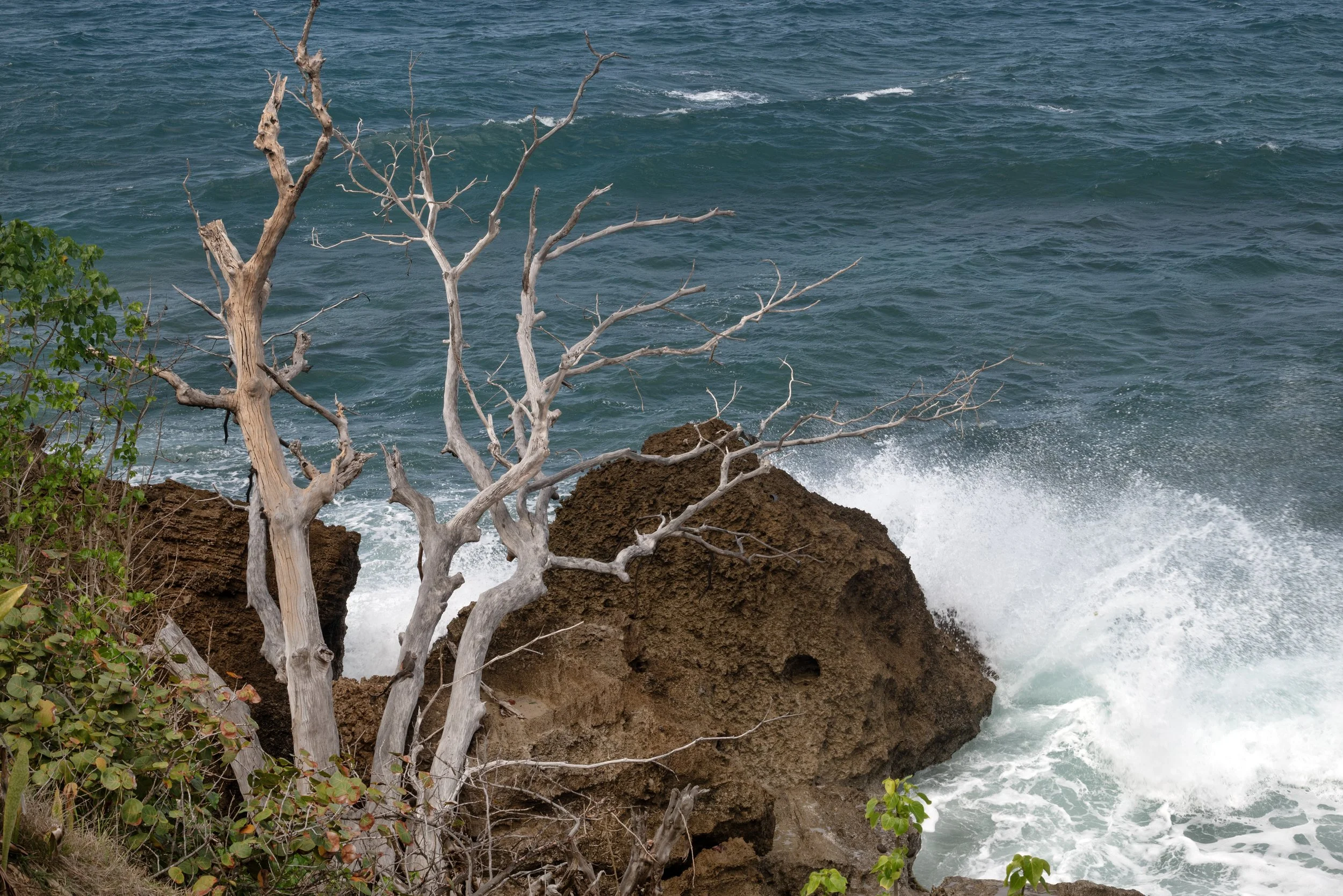 Rincon Lighthouse 03212026 02.jpg