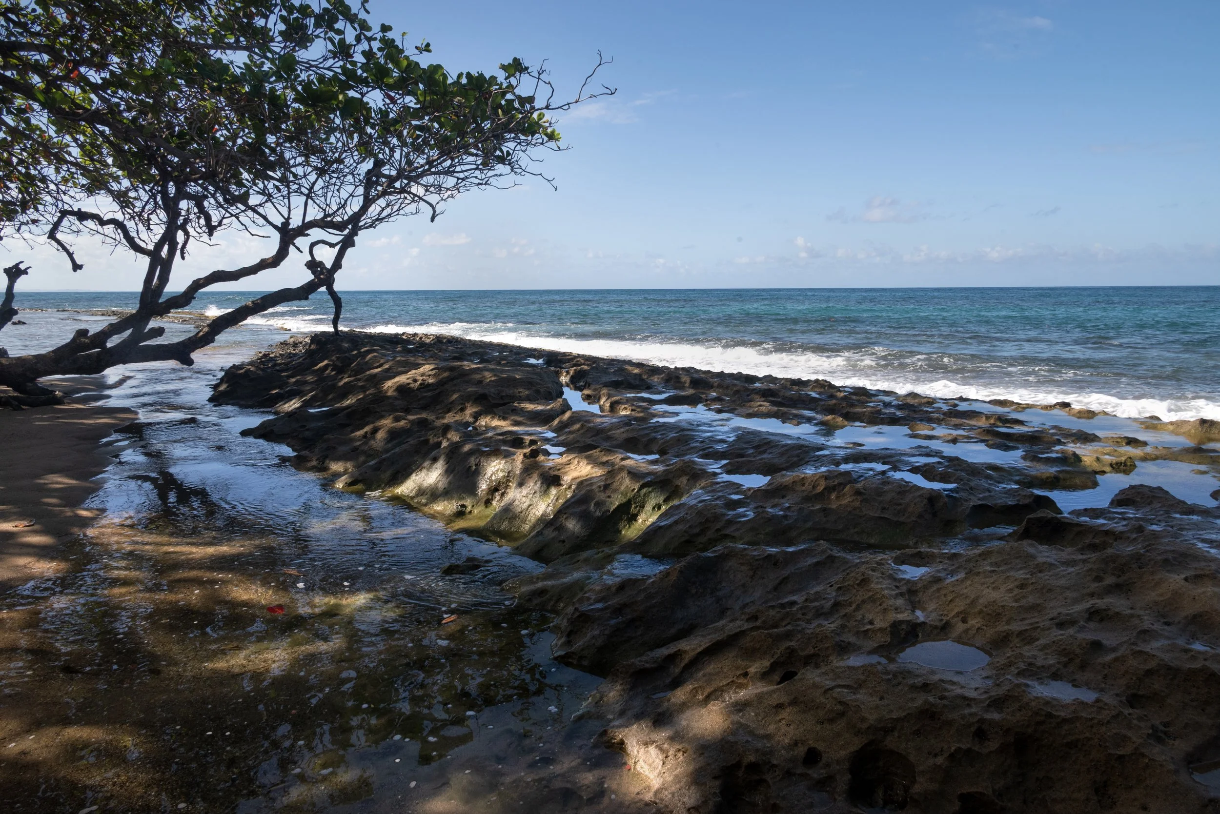 Rincon Beach PR 03202026 06.jpg