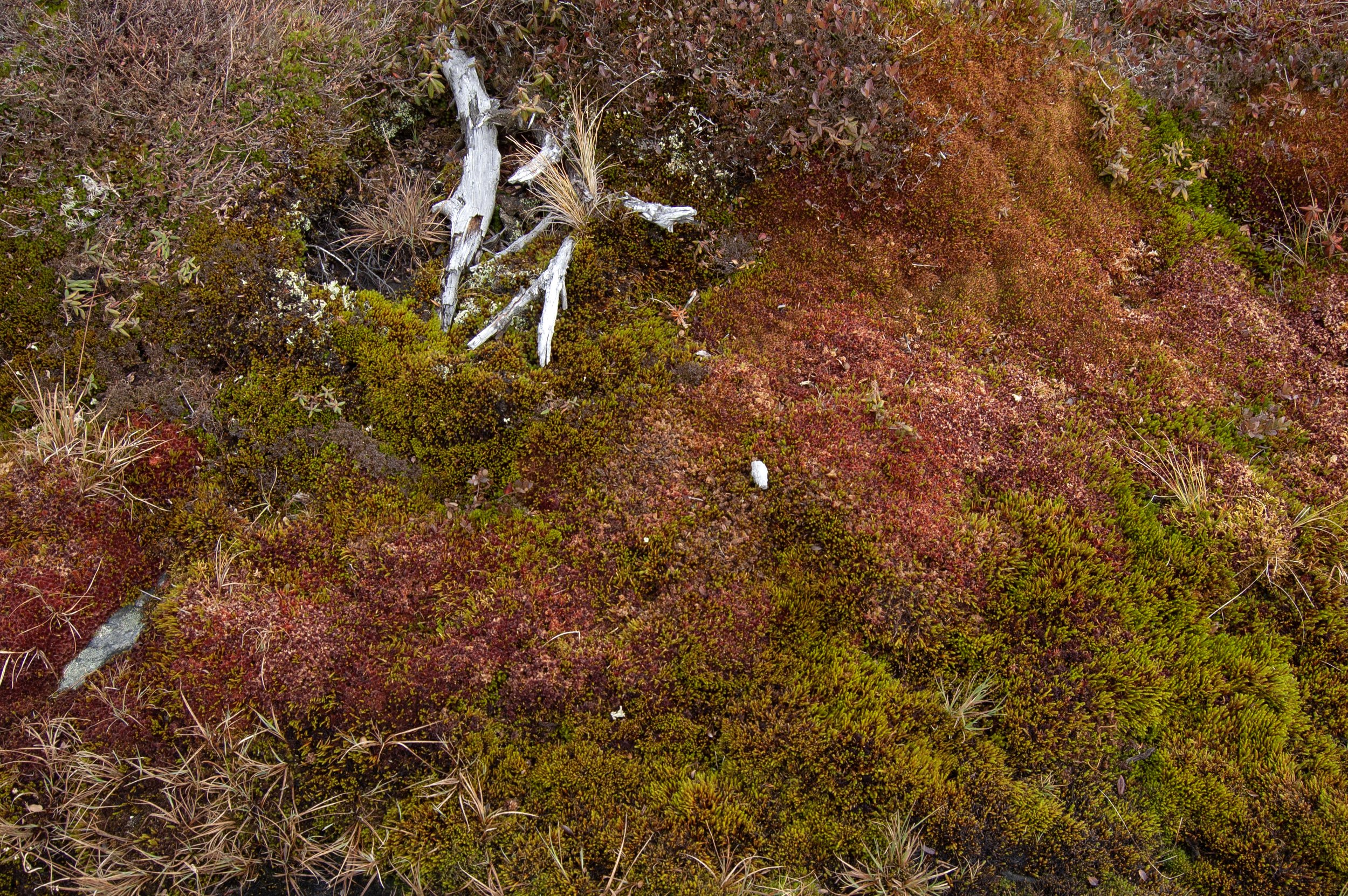 Vermont Stowe 10112014 08A.jpg