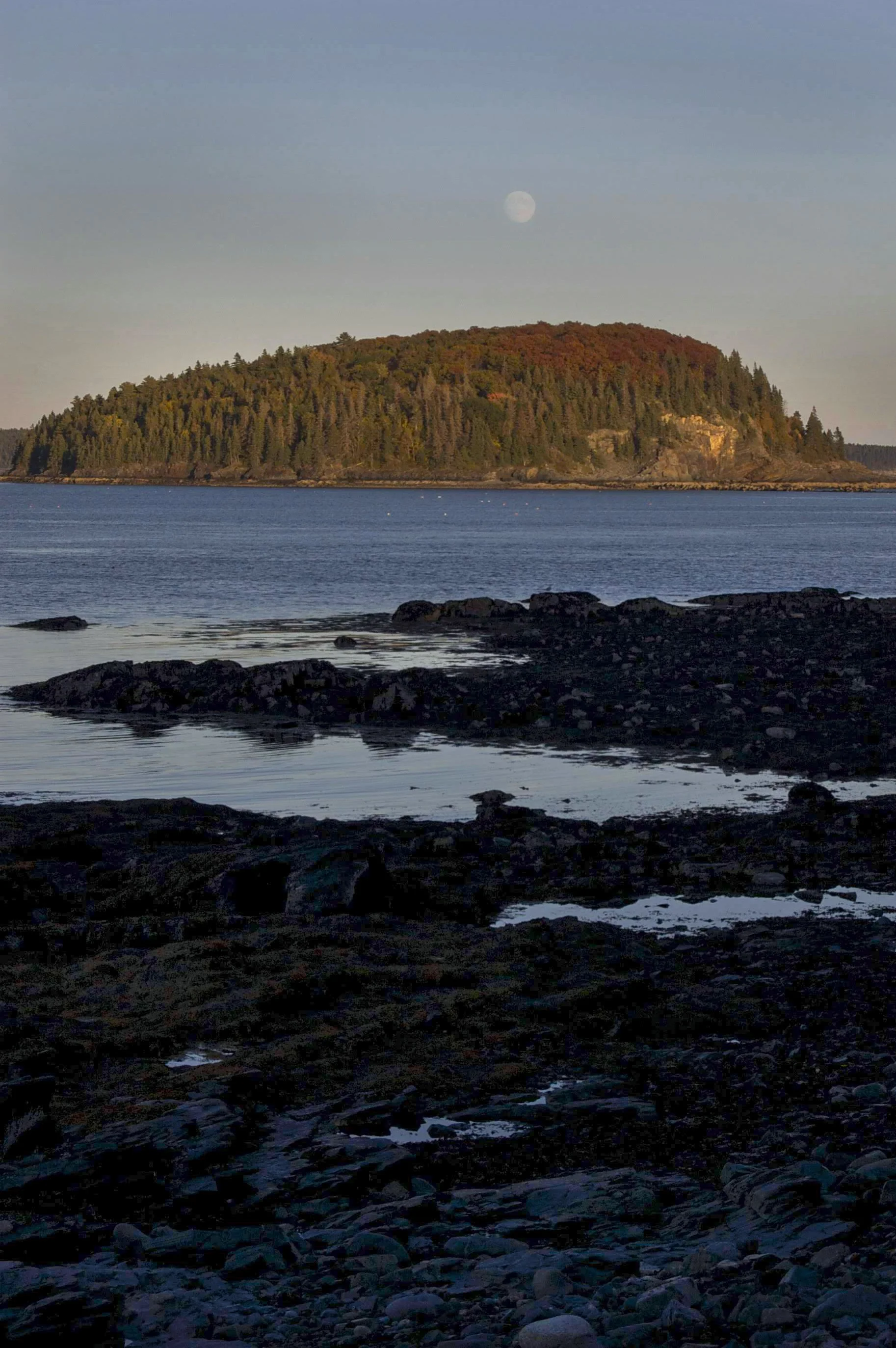 Bar Harbor 10062014 01A.jpg
