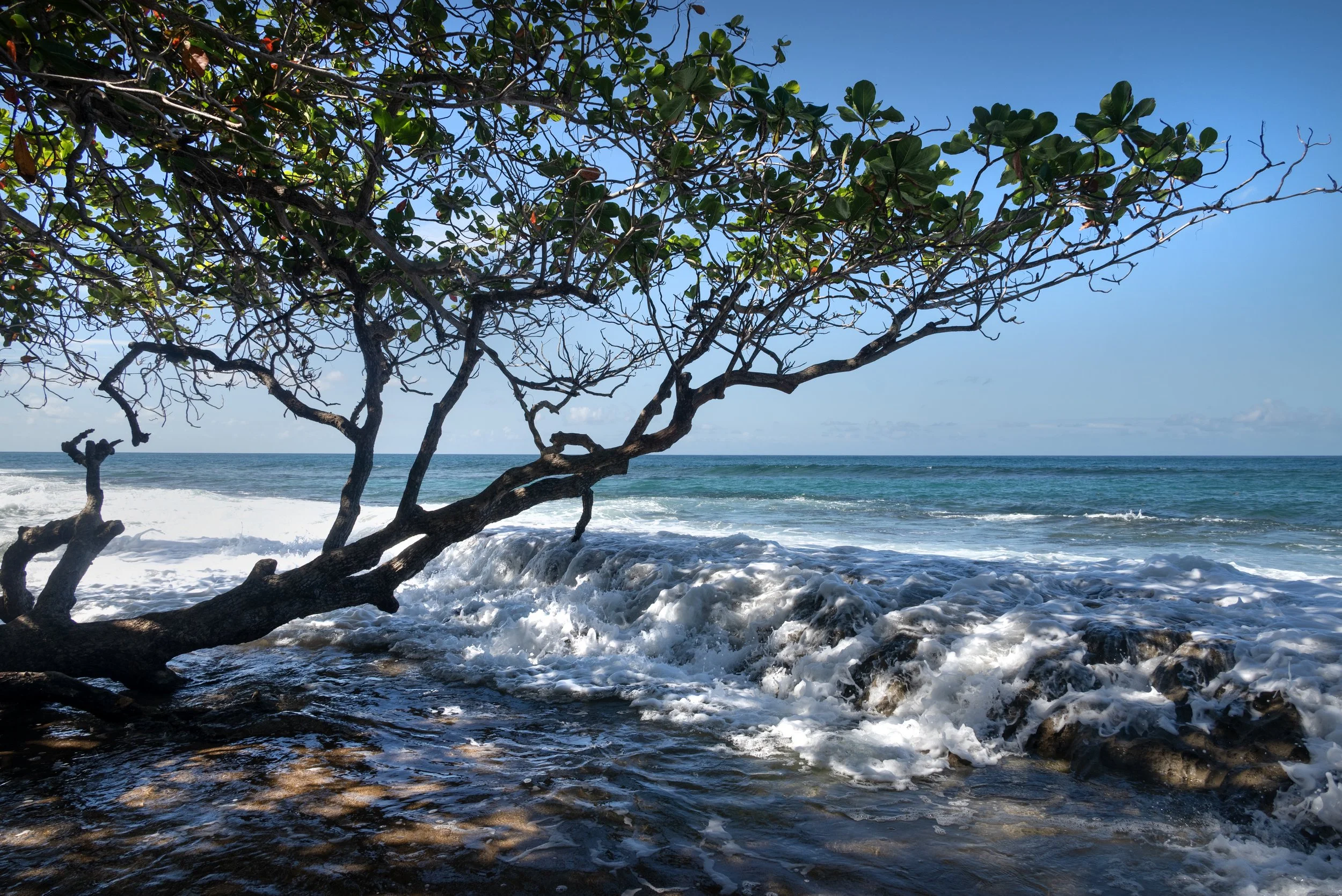Rincon Beach PR 03202026 11.jpg