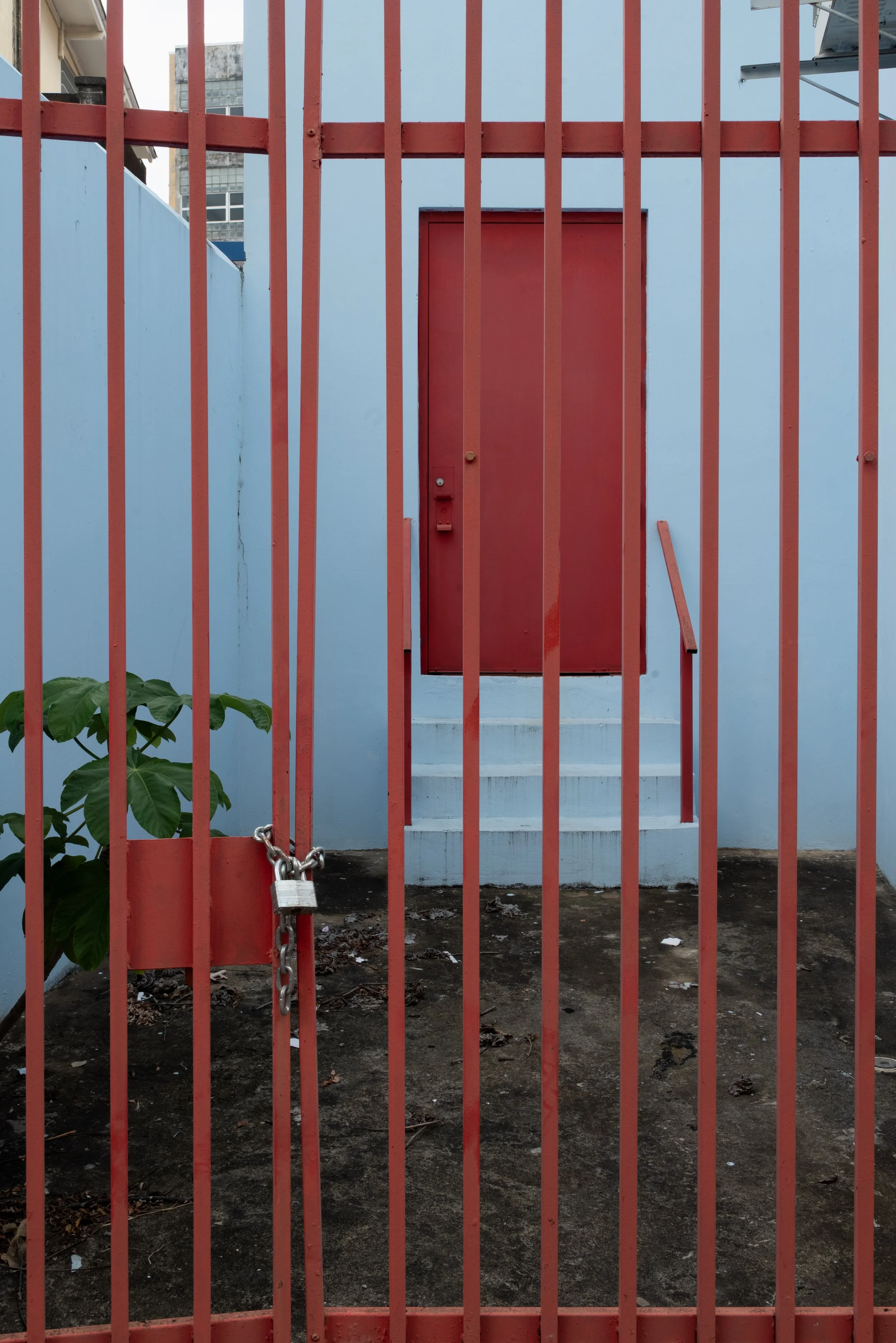 Mayagüez PR 03262026 34A.jpg