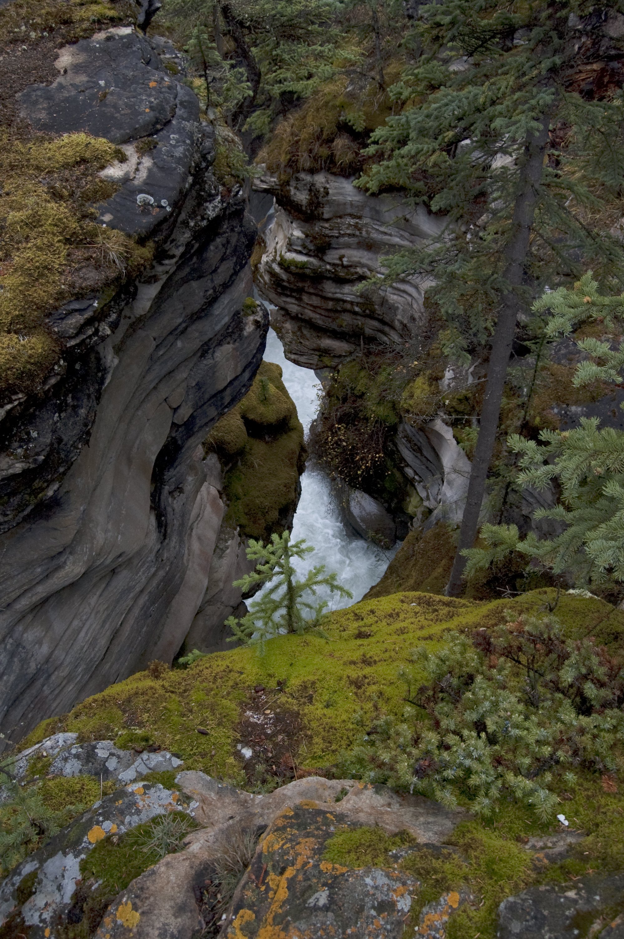 Athabasca Falls 02.jpg
