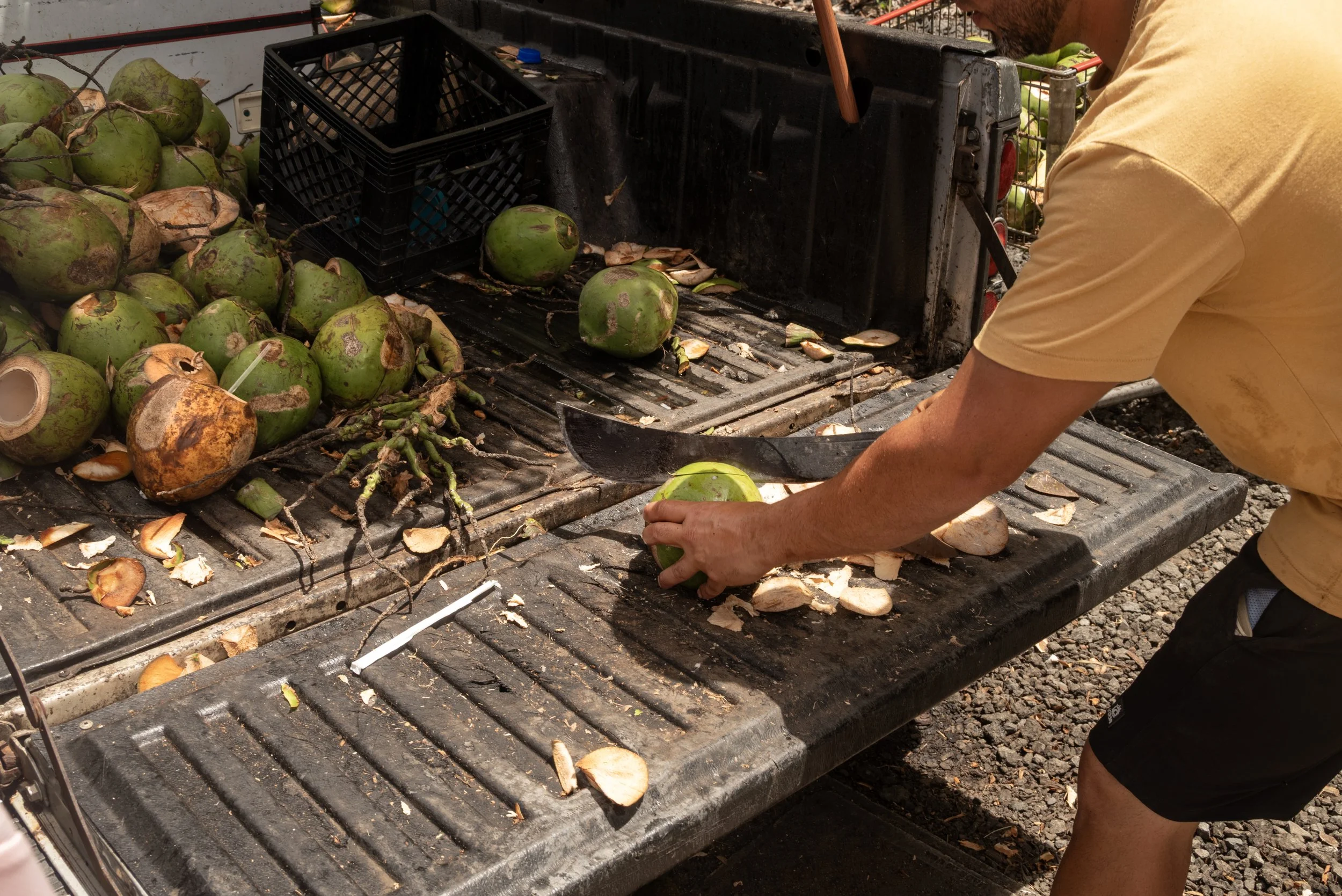 PR Fruitstop 03212026 02F.jpg