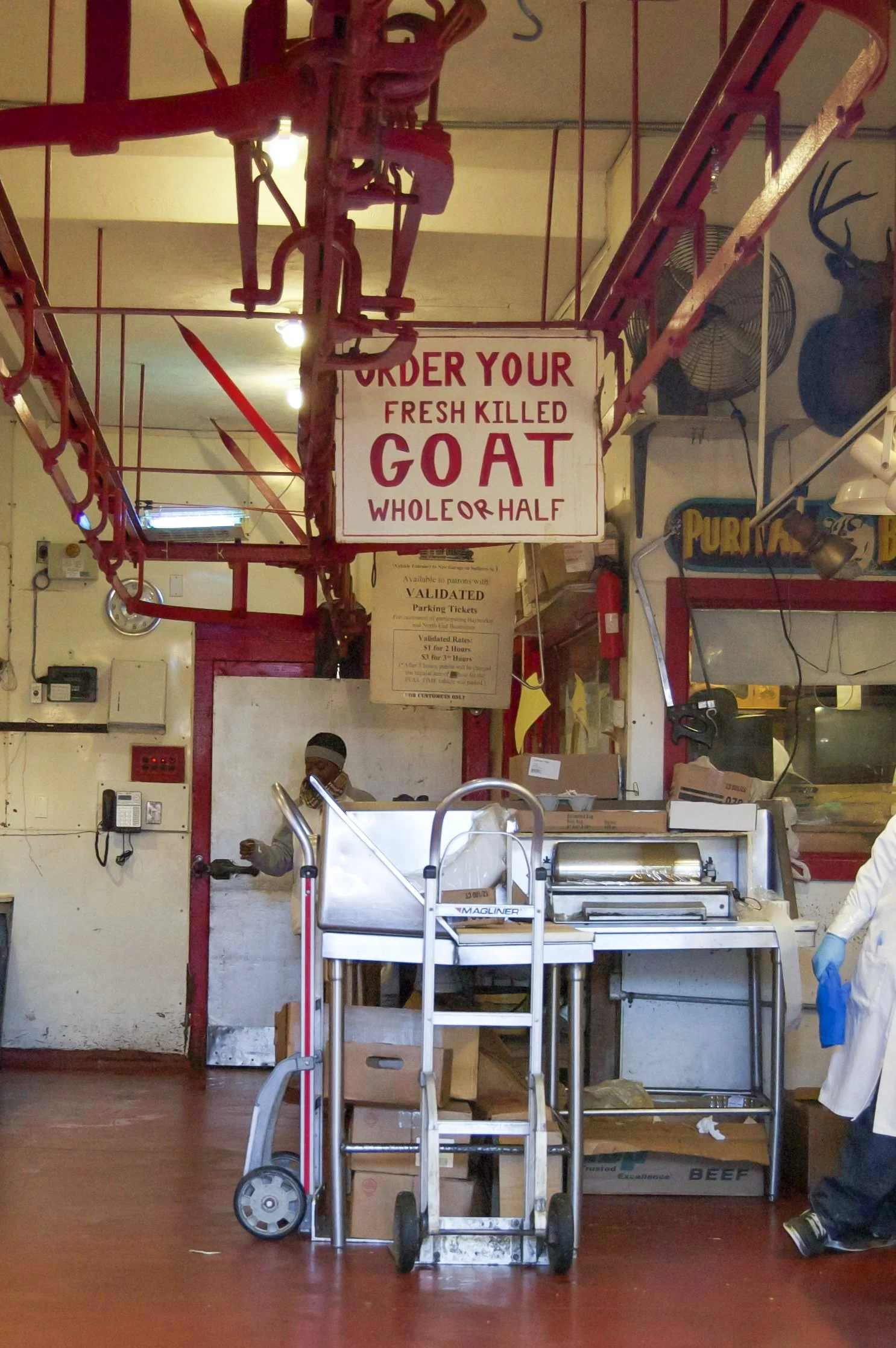 Boston 10022014 05.jpg