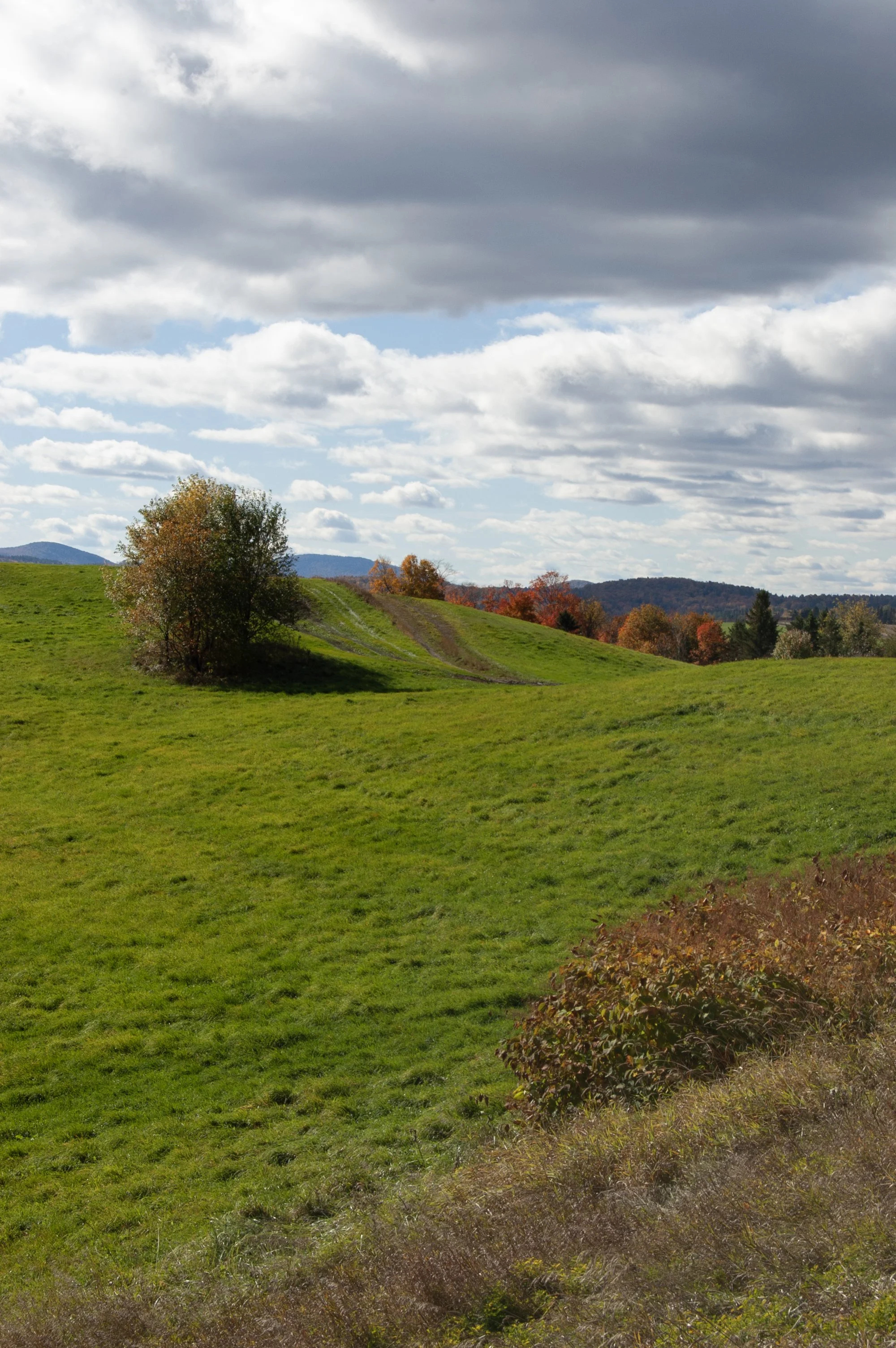 Vermont 10102014 03.jpg