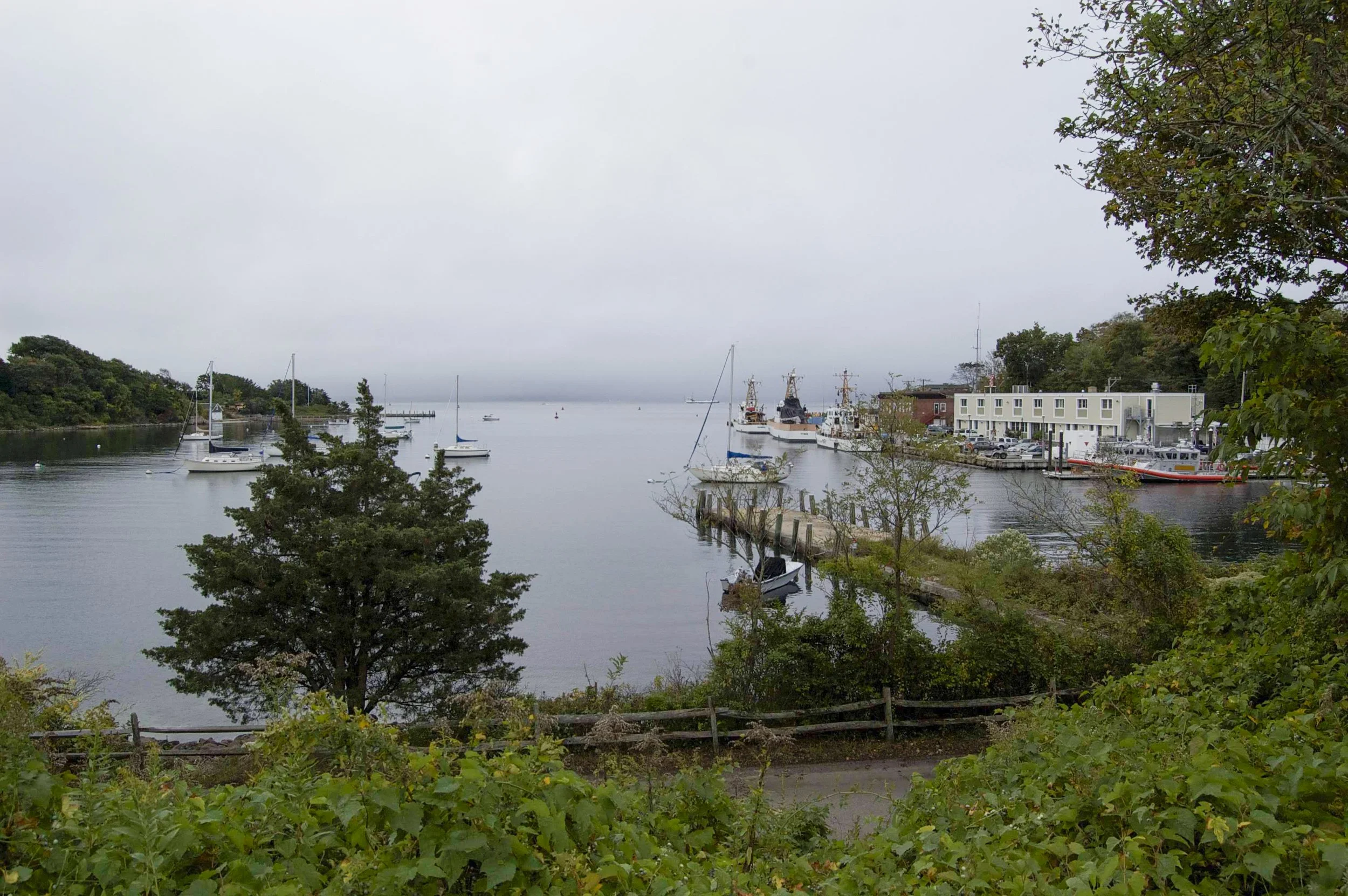 Woods Hole 10042014 02.jpg