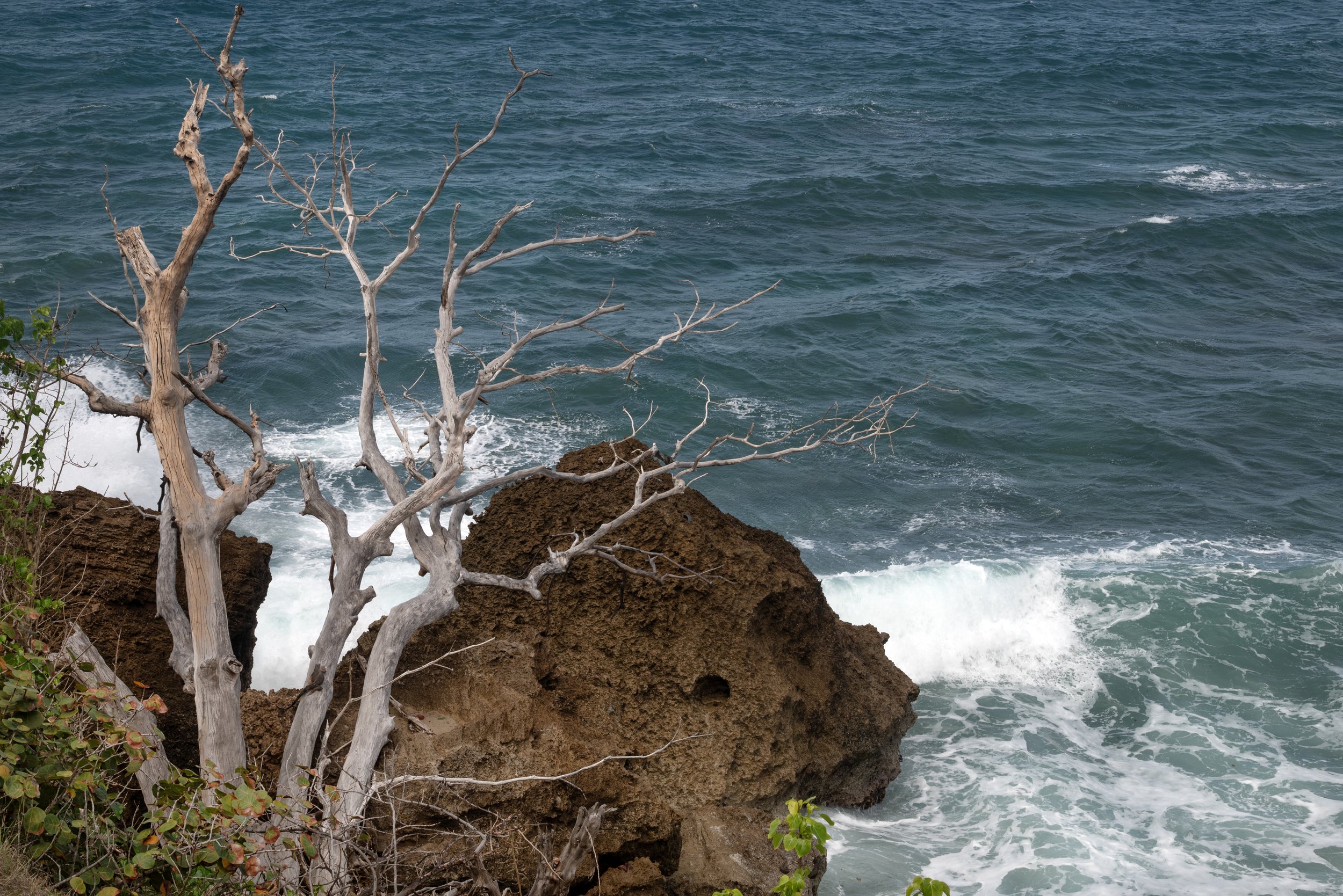 Rincon Lighthouse 03212026 02A.jpg