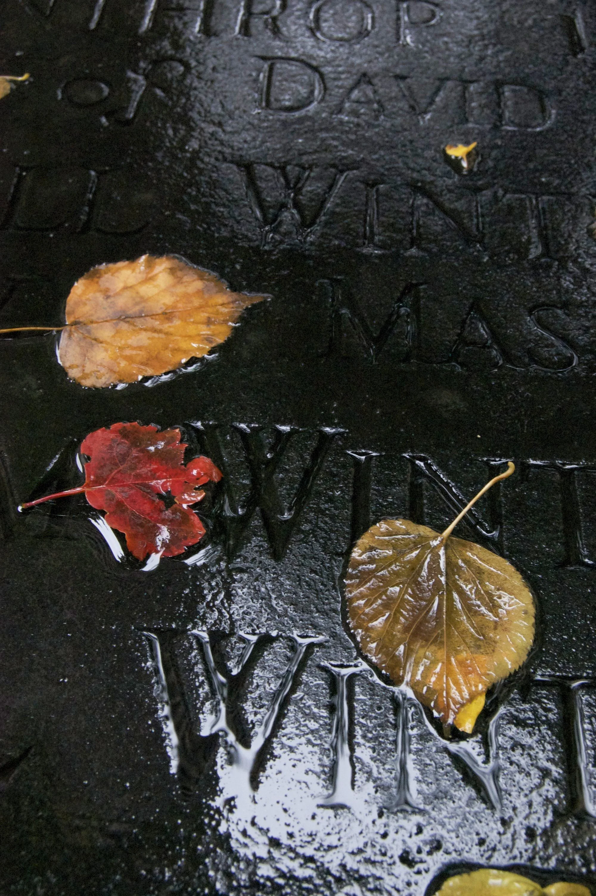 Boston 10022014 02.jpg