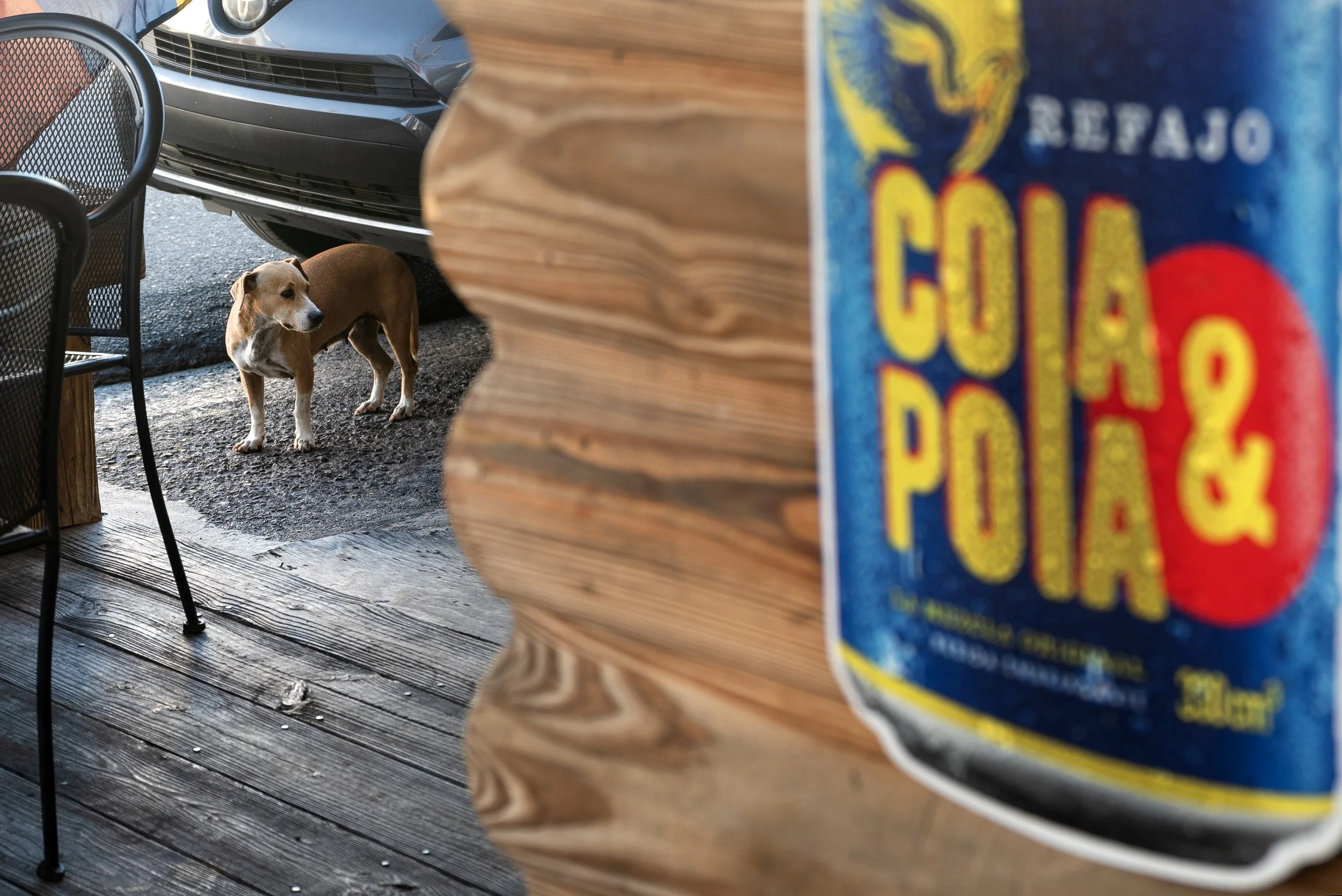 Puerto Rico 03182026 01C.jpg