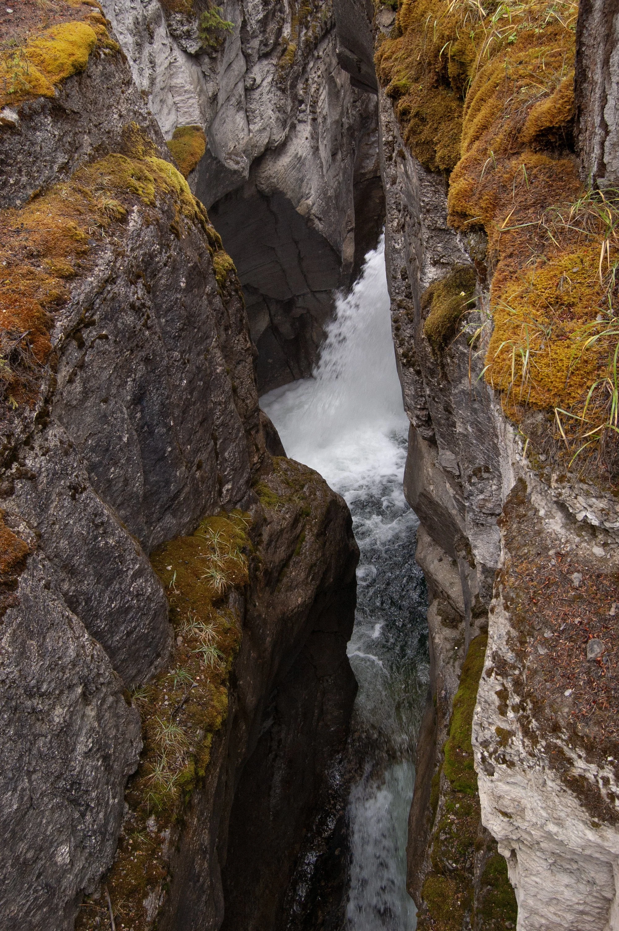 Jasper NTL Park Maligne Canyon 10022011 05.jpg