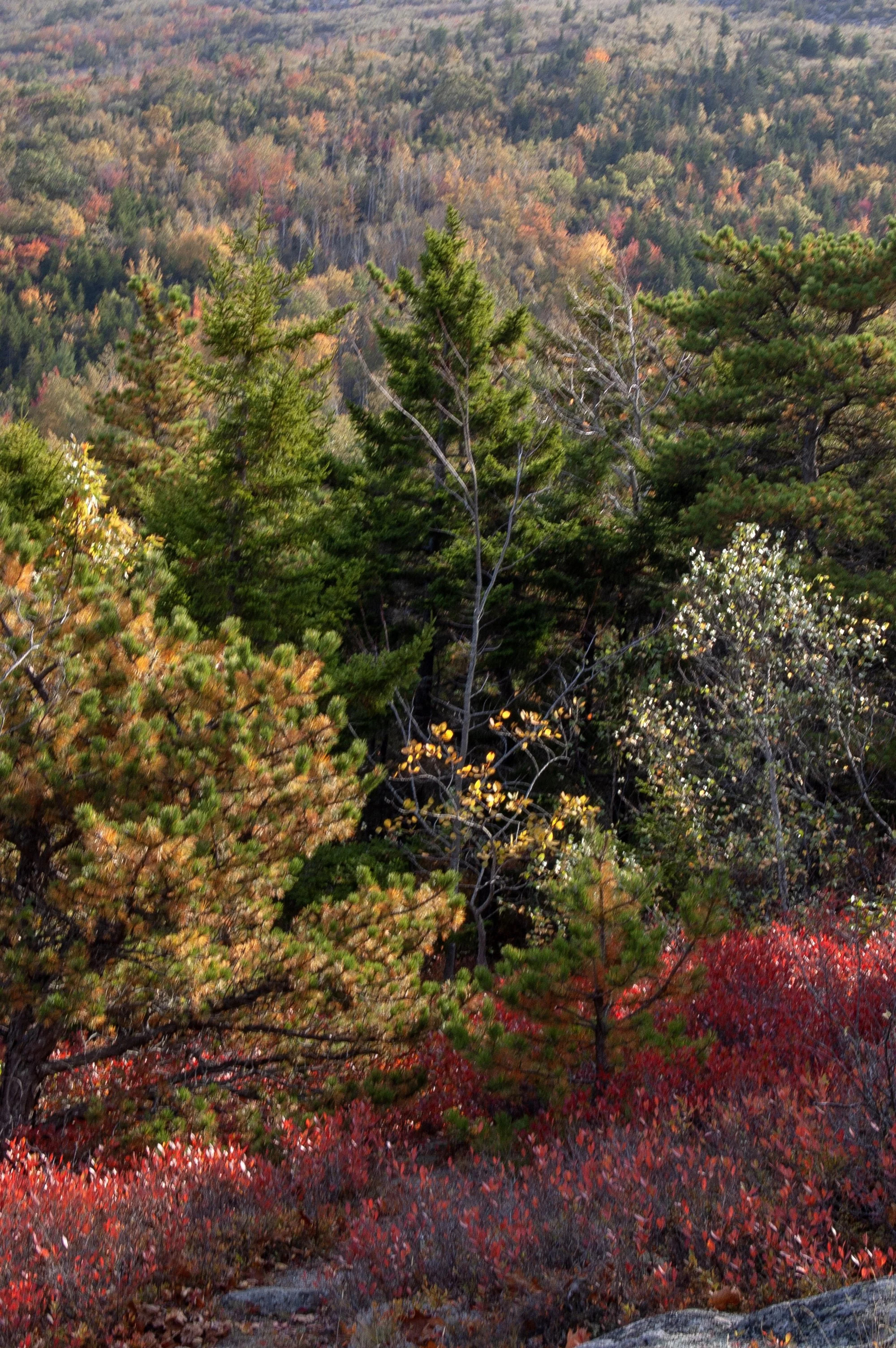 Acadia National Park 10072014 25.jpg
