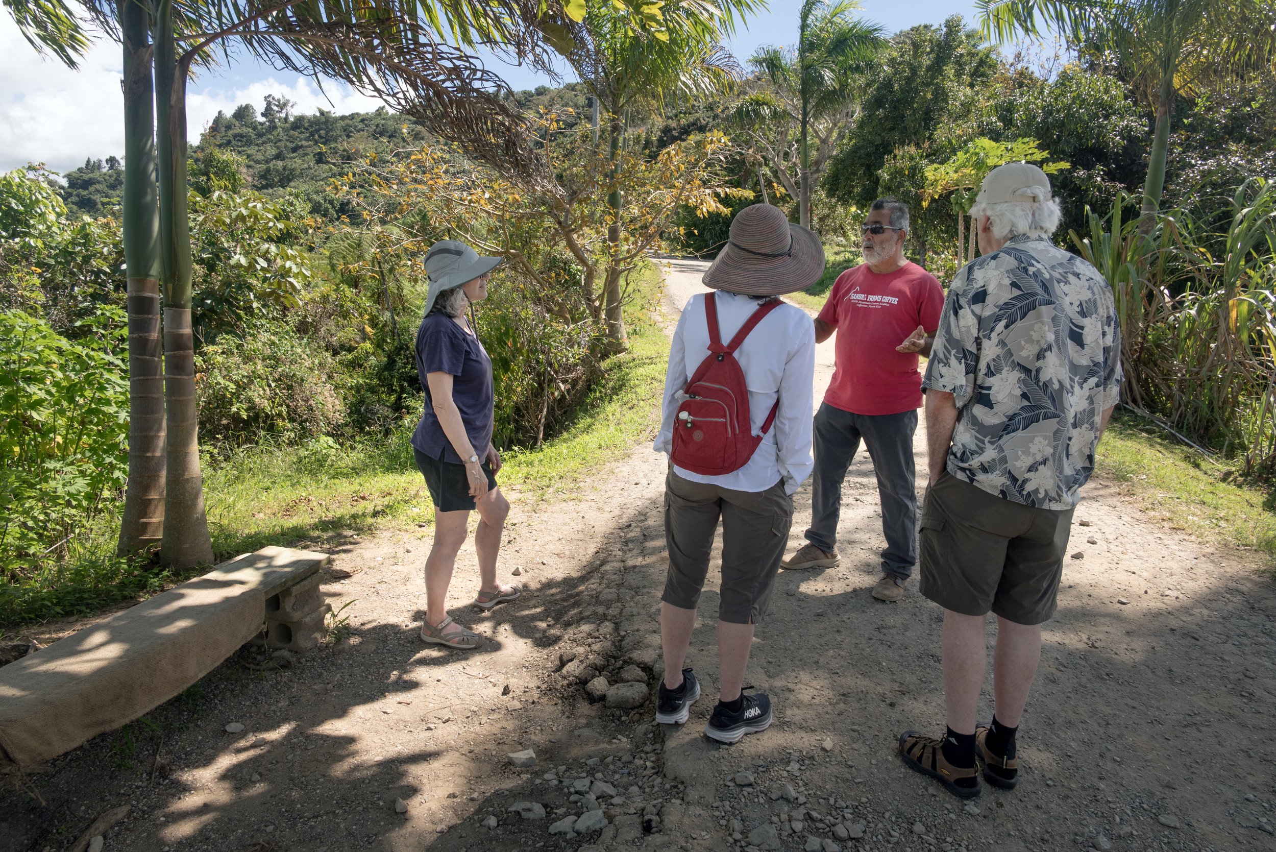 Sandra Farms Adjuntas PR 03192026 04B.jpg