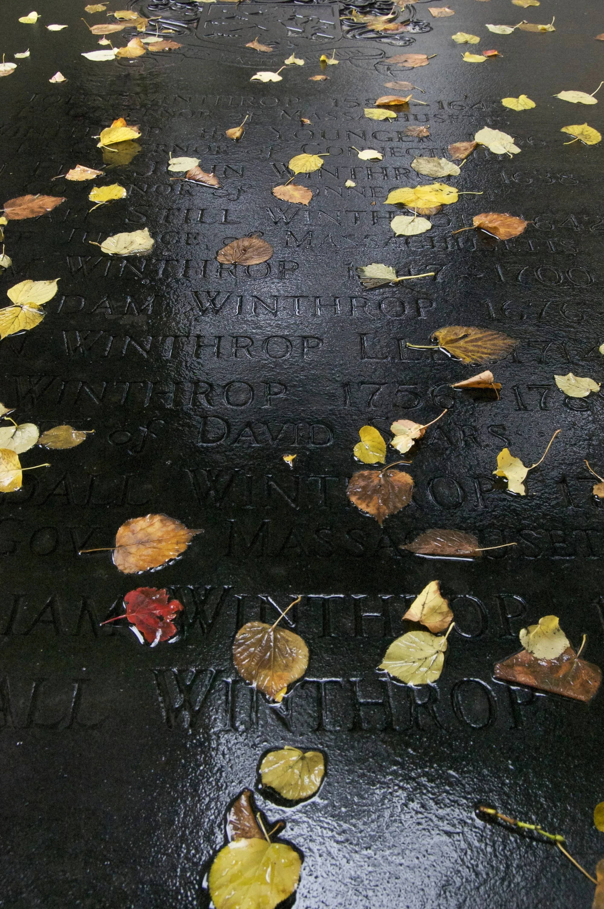 Boston 10022014 02A.jpg