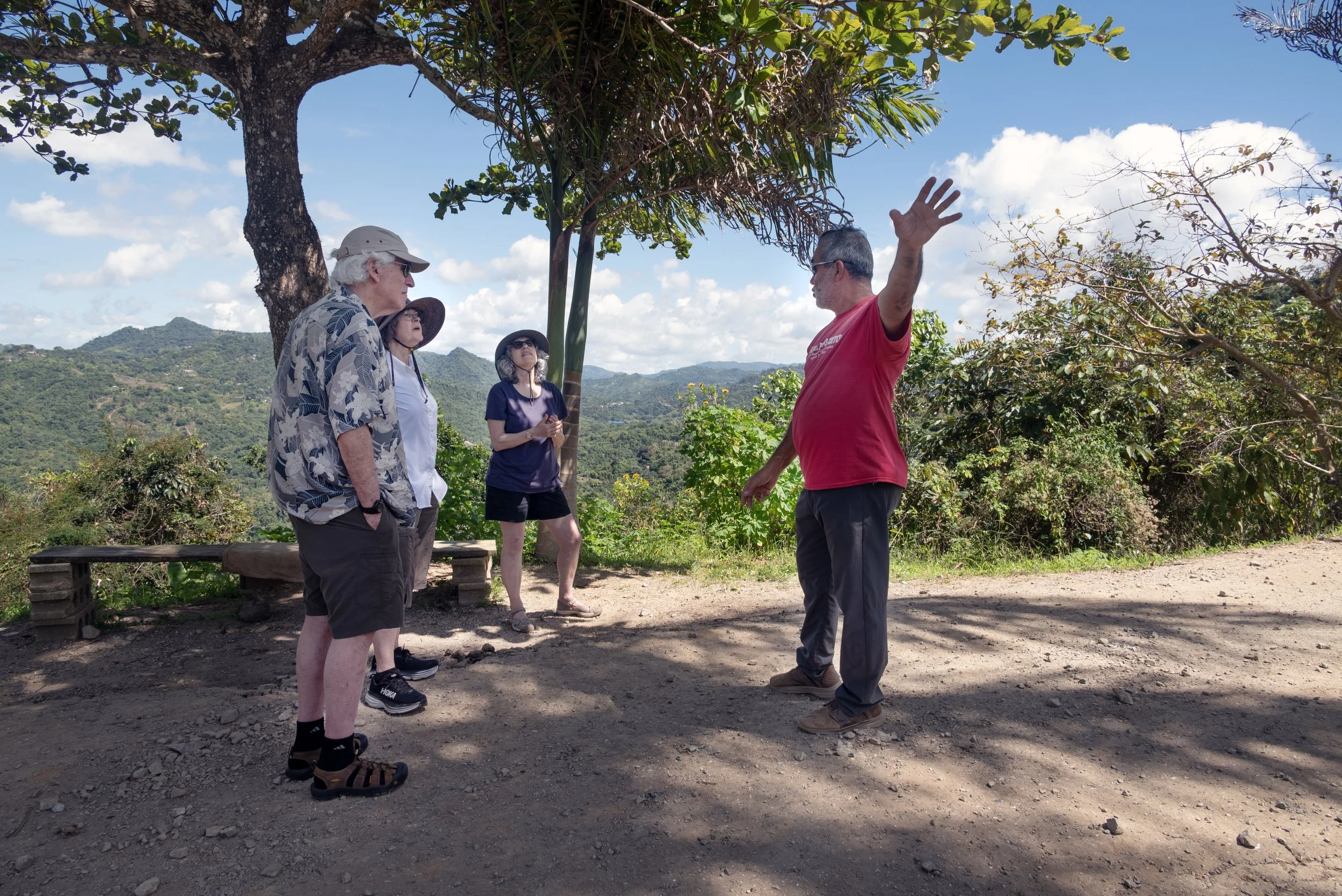 Sandra Farms Adjuntas PR 03192026 04.jpg