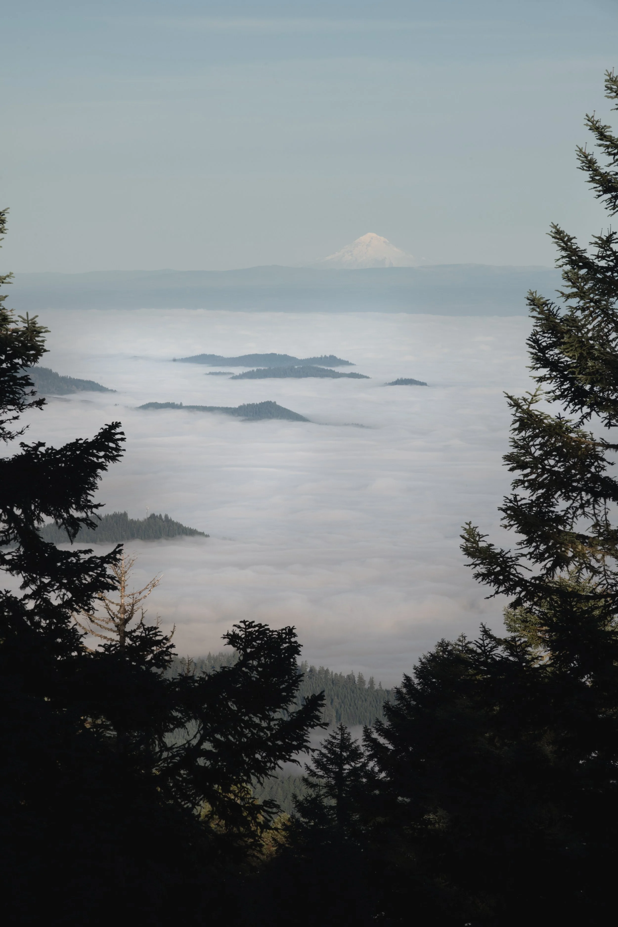 Mary's Peak 11212025 04.jpg