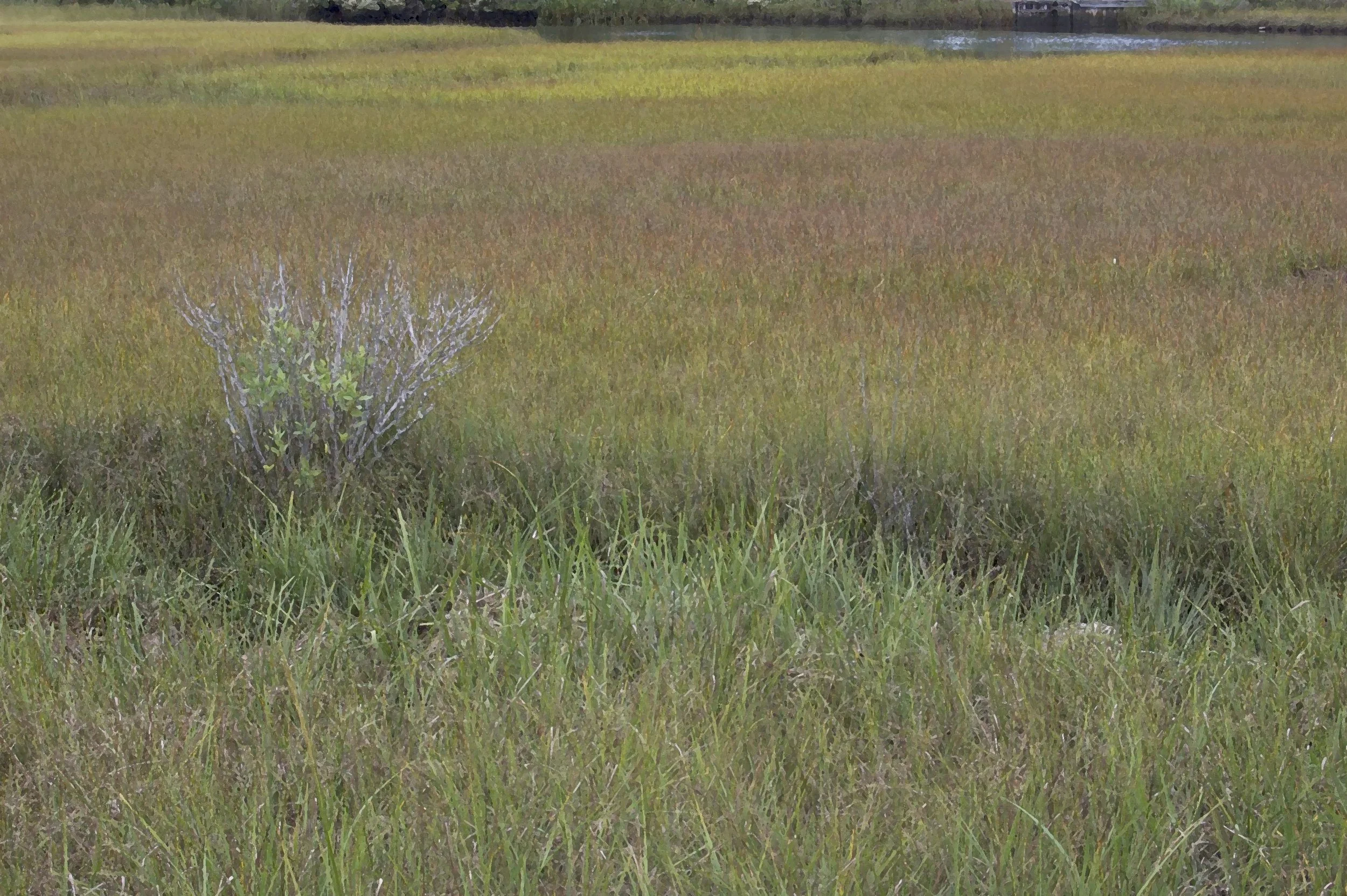 Marthas Vinyard 10042014 04.jpg