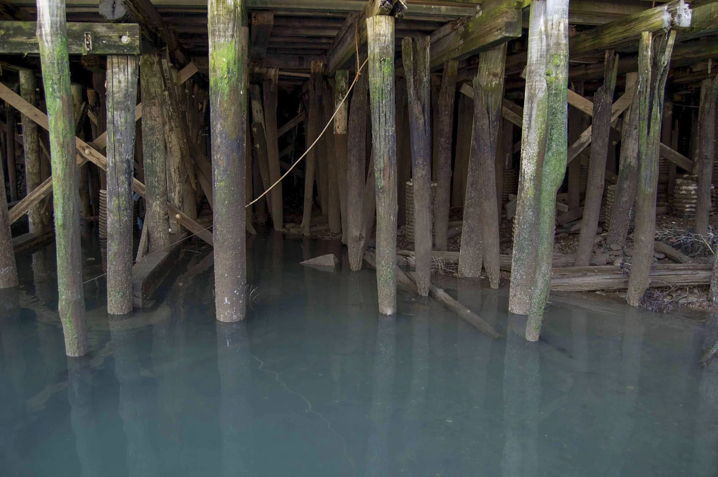 Portland Maine 10052014 05.jpg