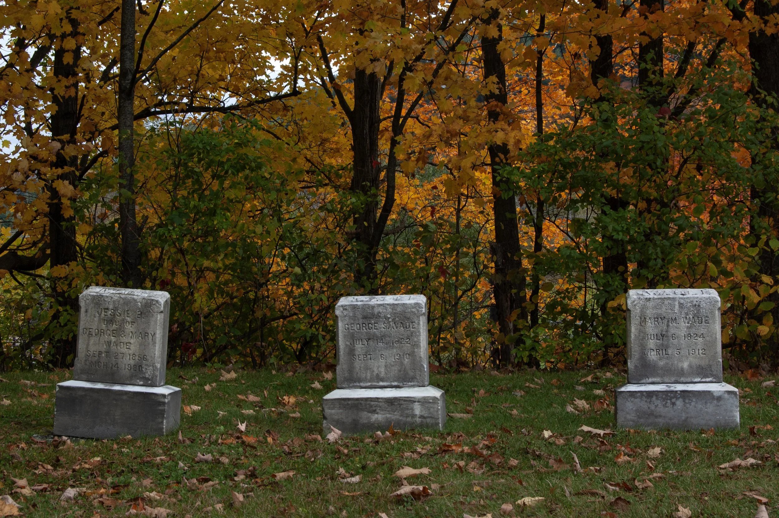 Vermont Stowe 10112014 04.jpg