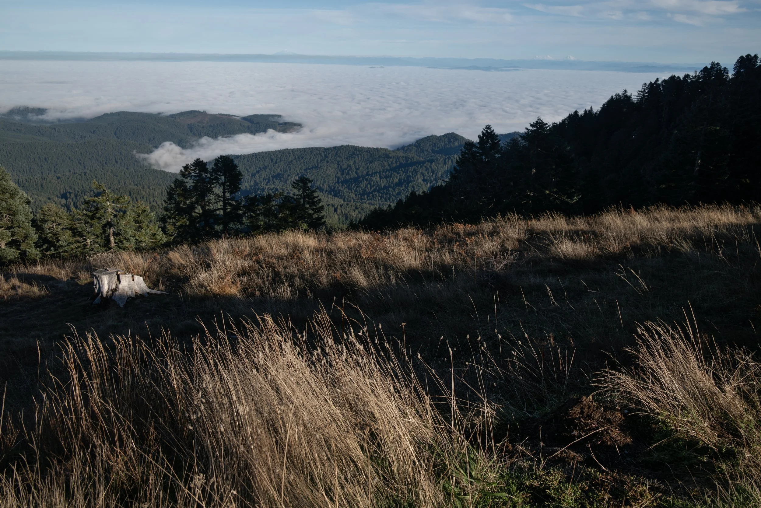 Mary's Peak 11212025 07.jpg