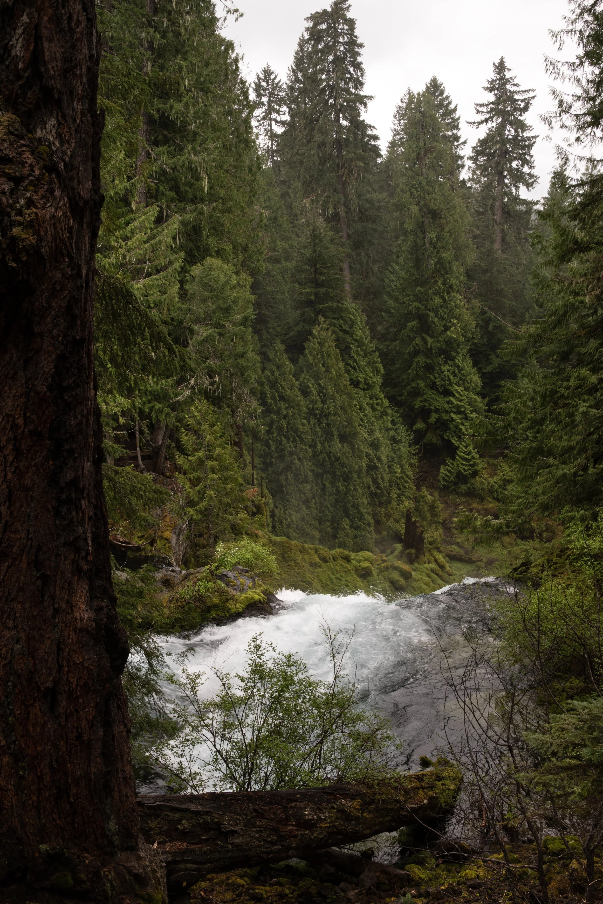 Sahalie & Koosah Fall 05222025 27.jpg