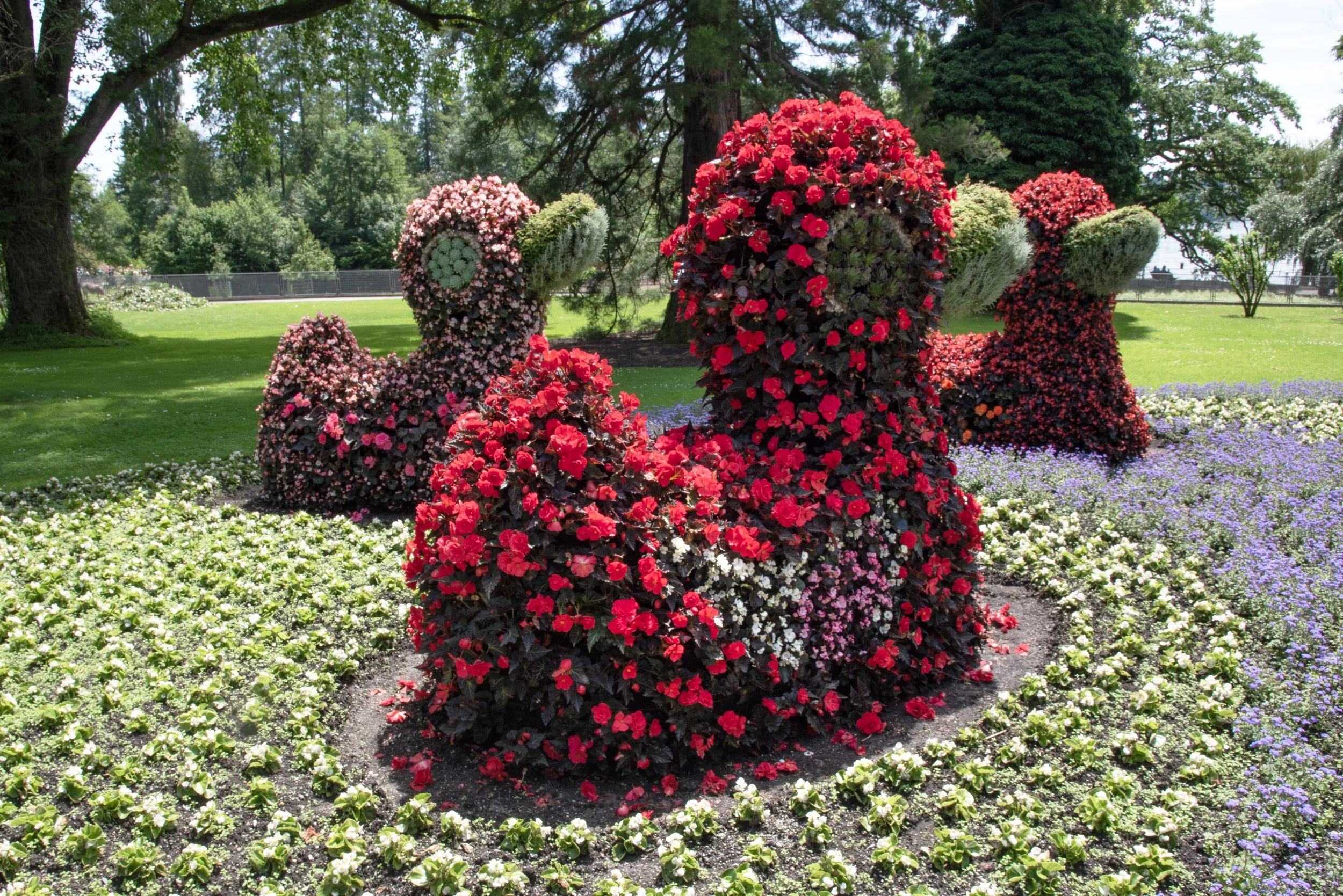 Mainau Island 06182024 11.jpg