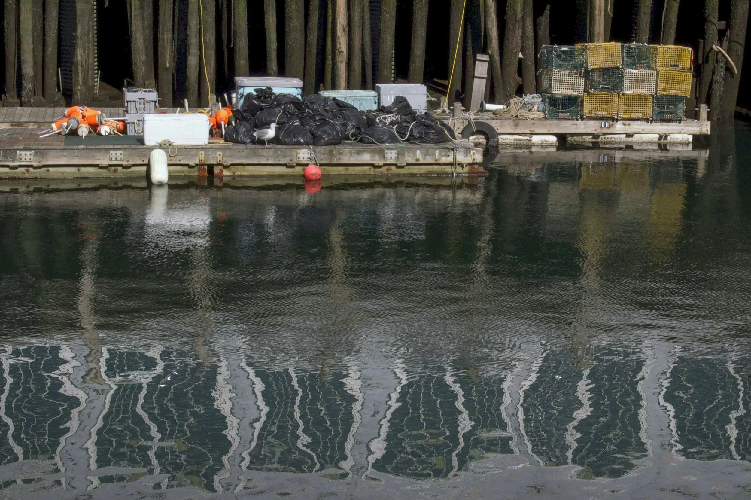 Portland Maine 10052014 03.jpg