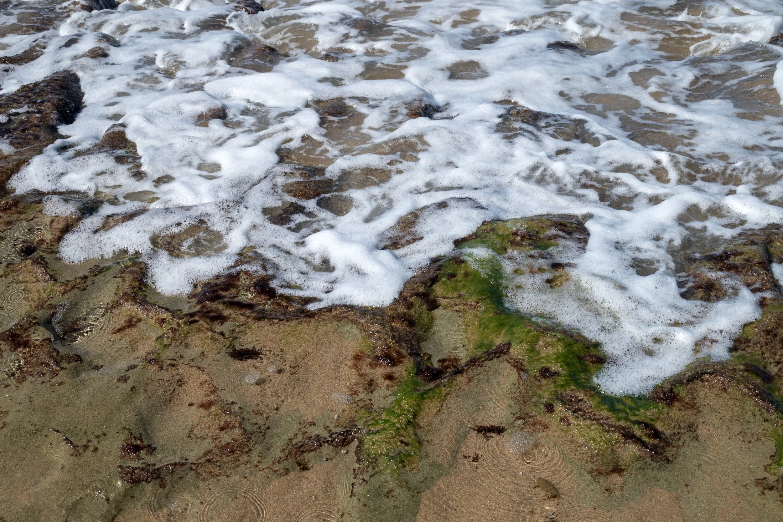 Rincon Beach PR 03202026 08.jpg