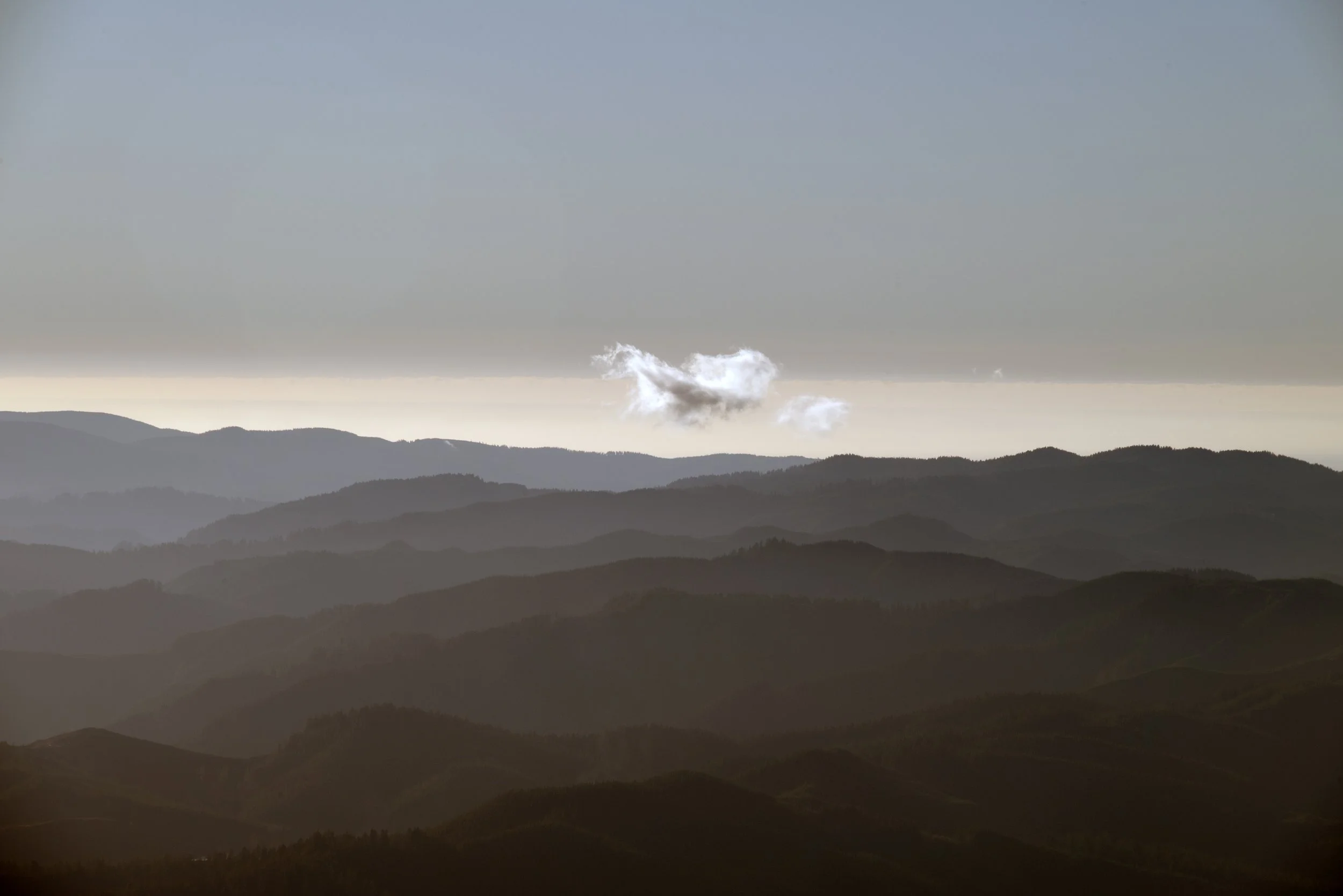 Mary's Peak 11212025 12.jpg