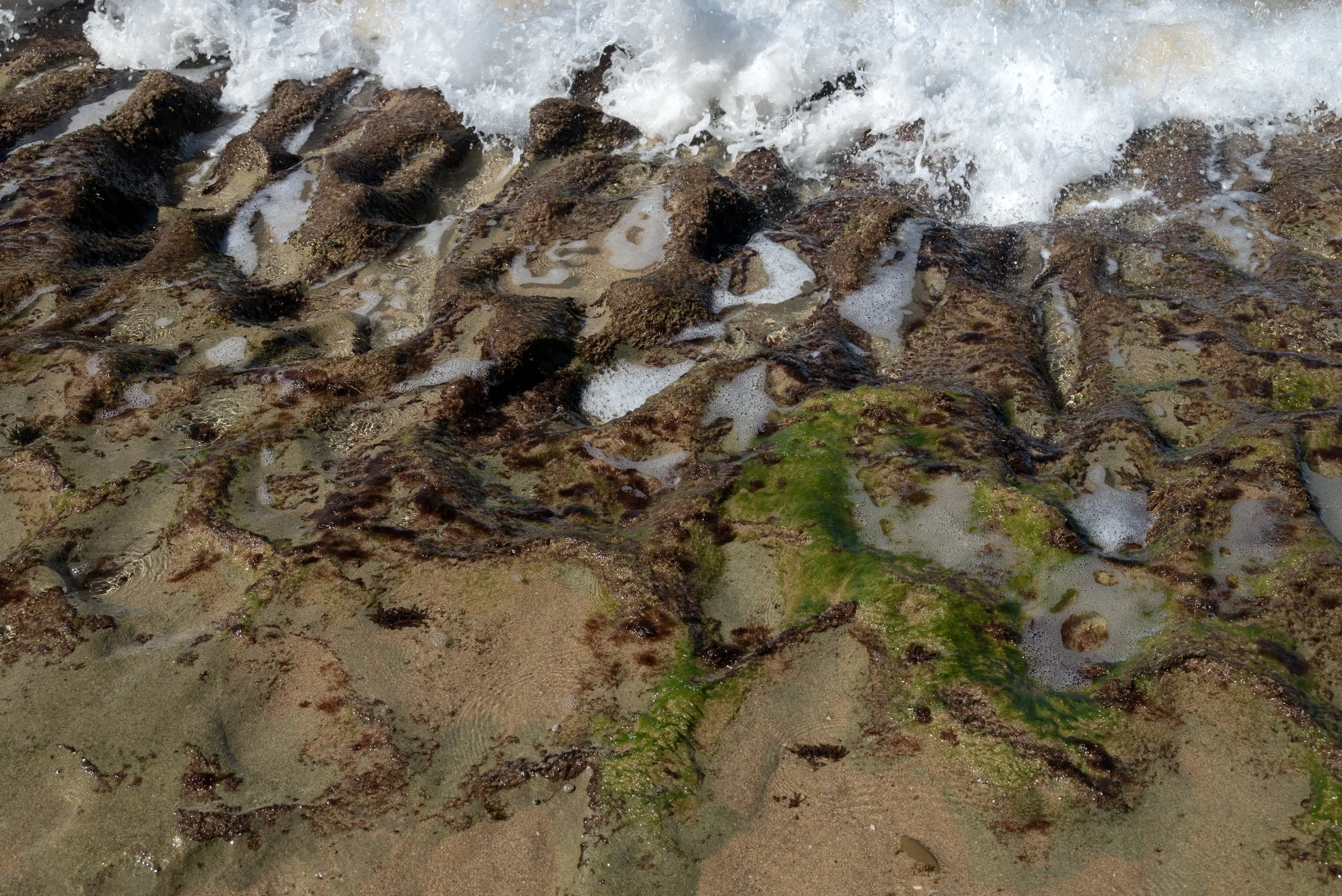 Rincon Beach PR 03202026 08B.jpg