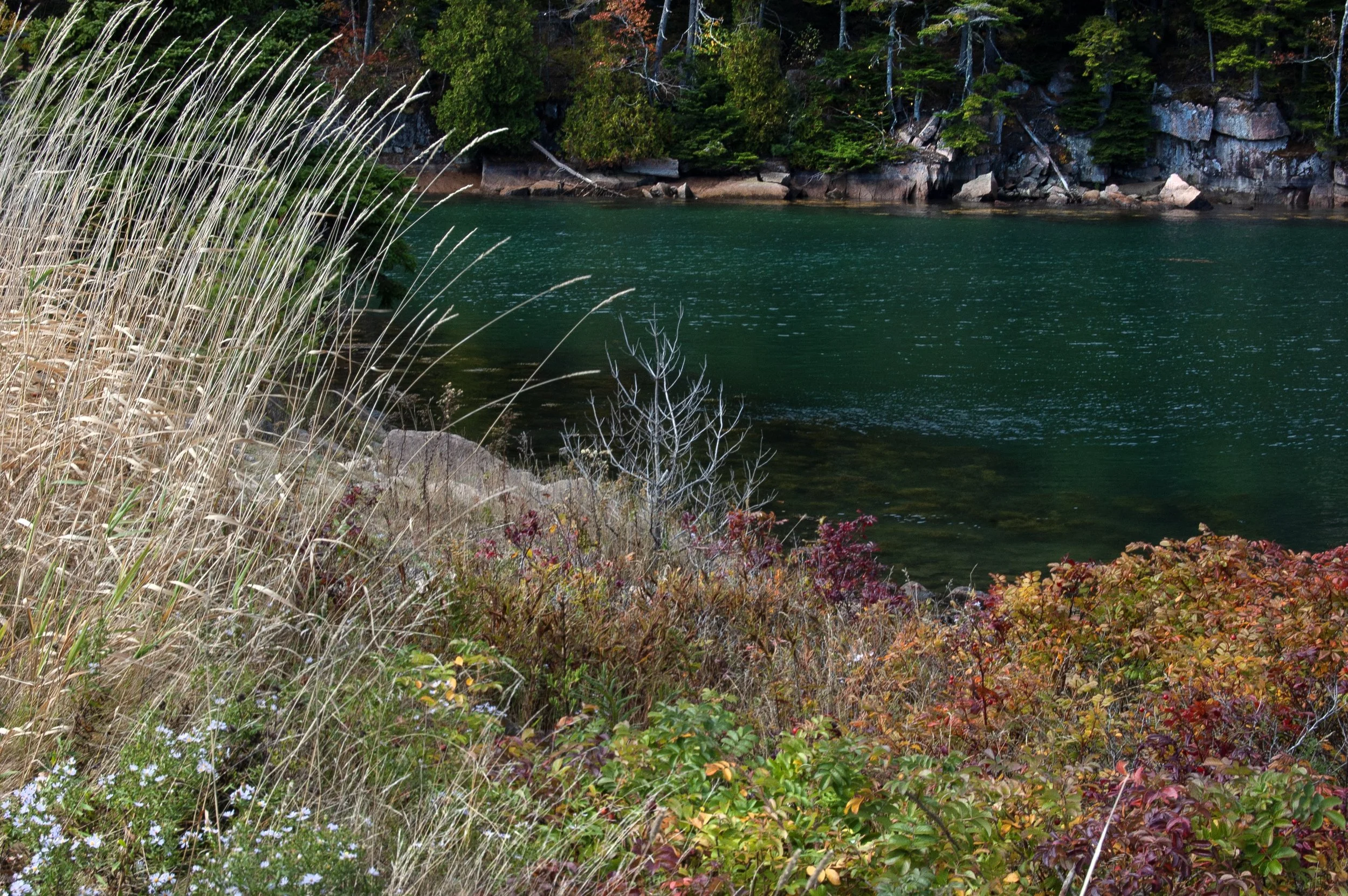 Acadia National Park 10072014 17.jpg