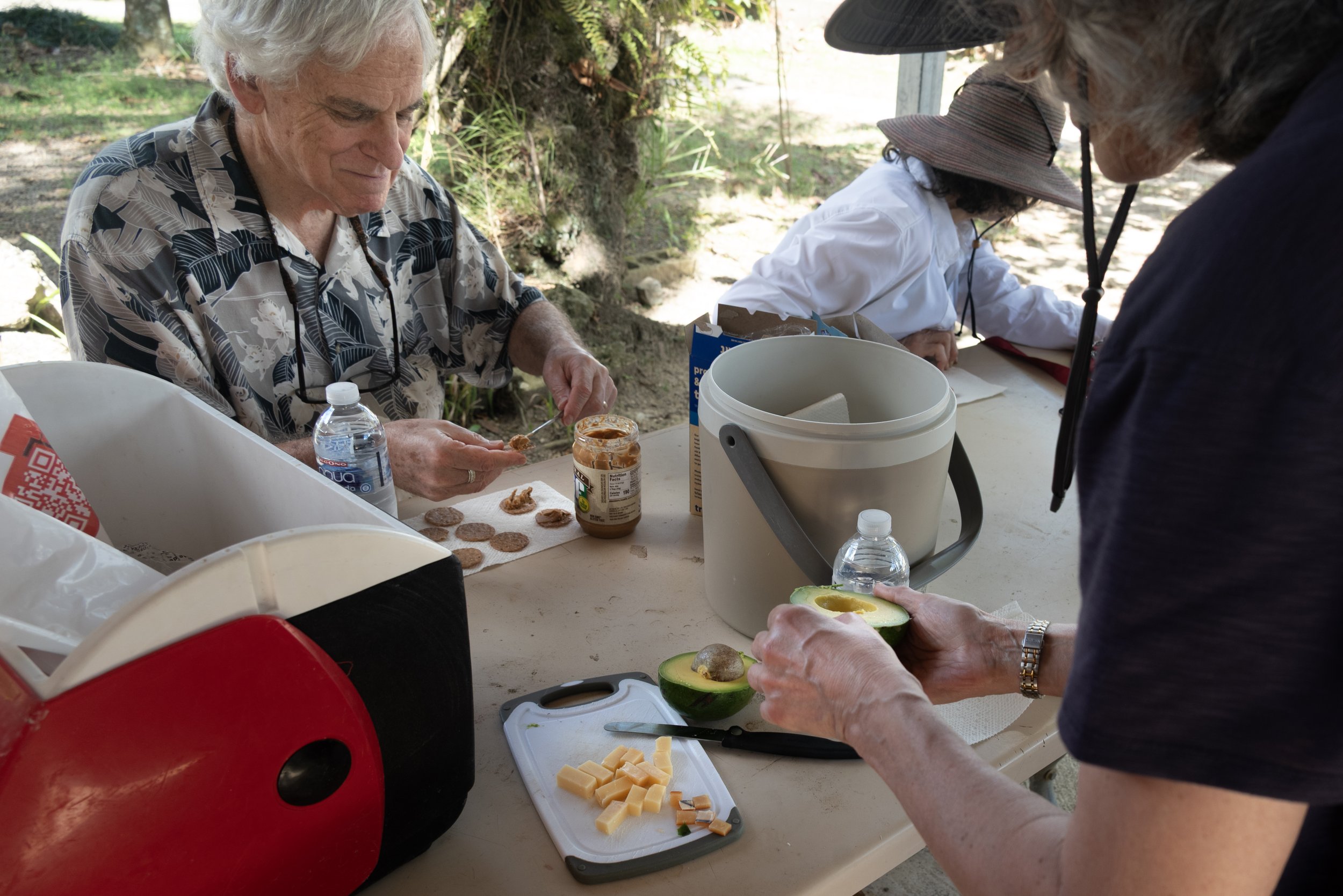 Sandra Farms Adjuntas PR 03192026 02A.jpg