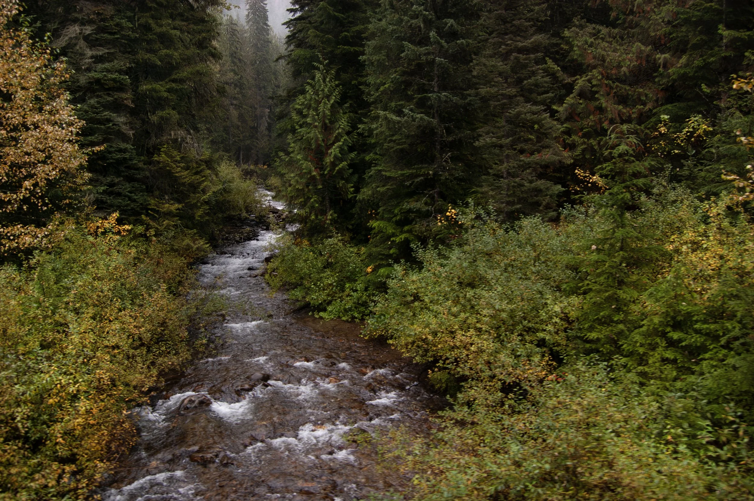 Train from Kamloops to Jasper 10012011 06.jpg