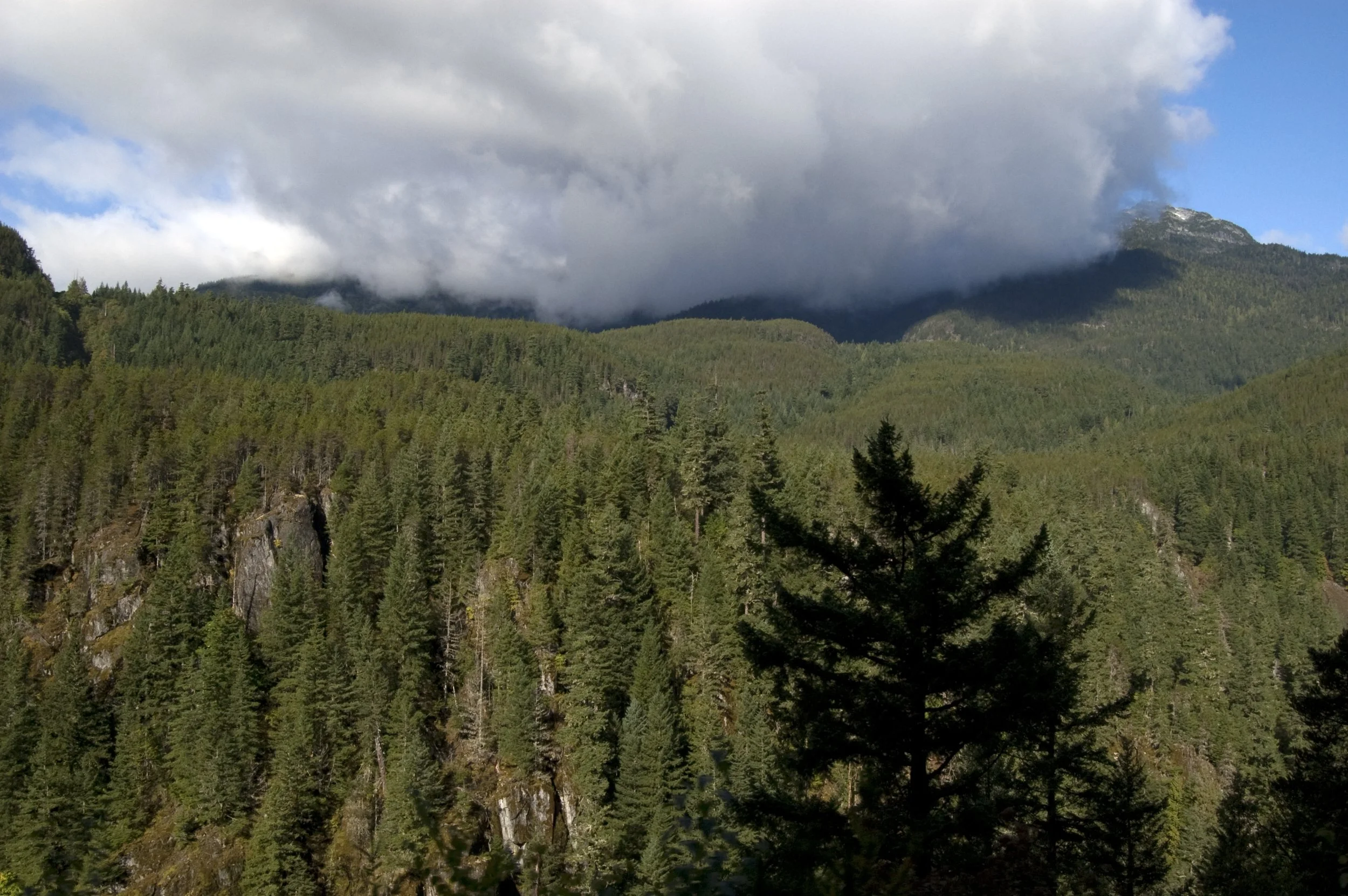 Train to Whistler 03 092811.jpg