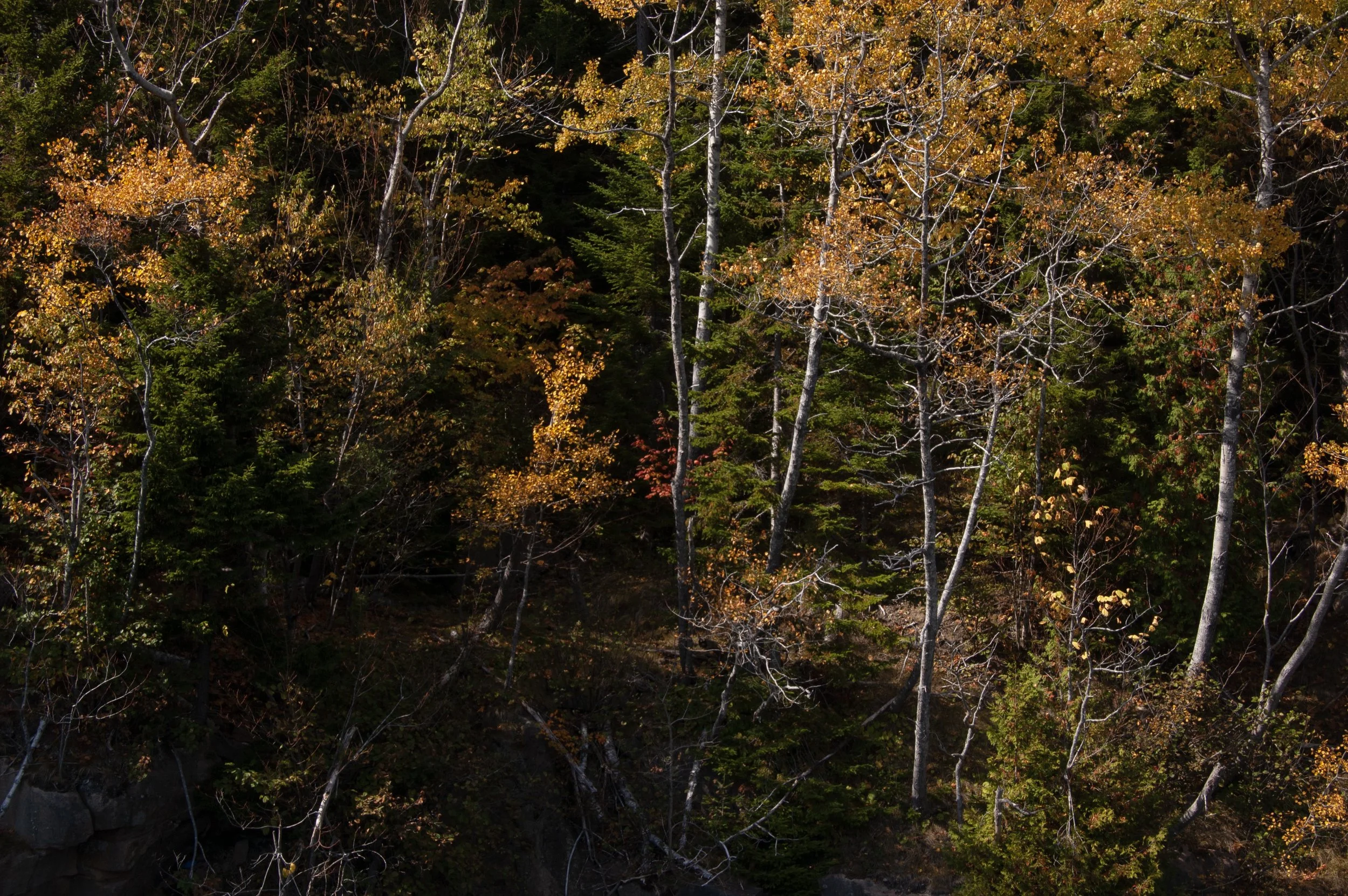 Acadia National Park 10072014 19A.jpg