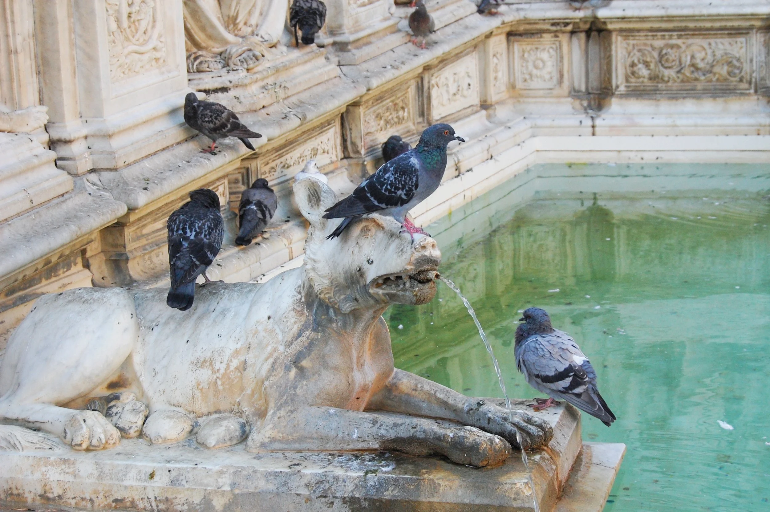 Siena 10032007 06.jpg