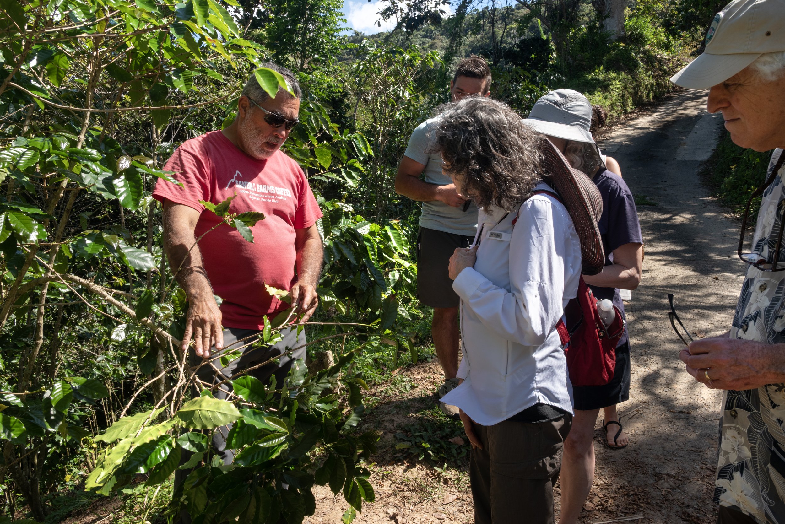 Sandra Farms Adjuntas PR 03192026 08.jpg