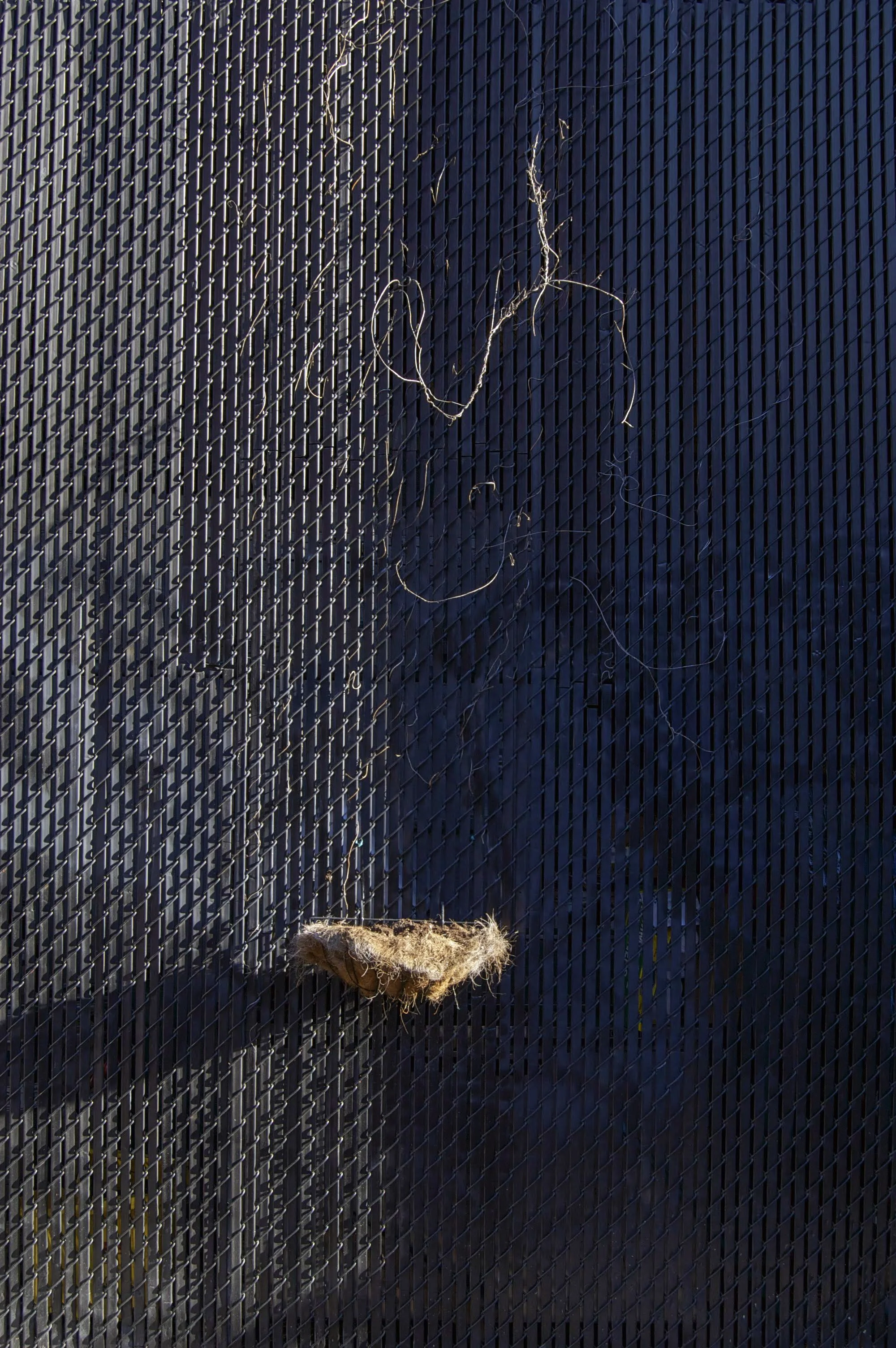 Portland Maine 10052014 08.jpg