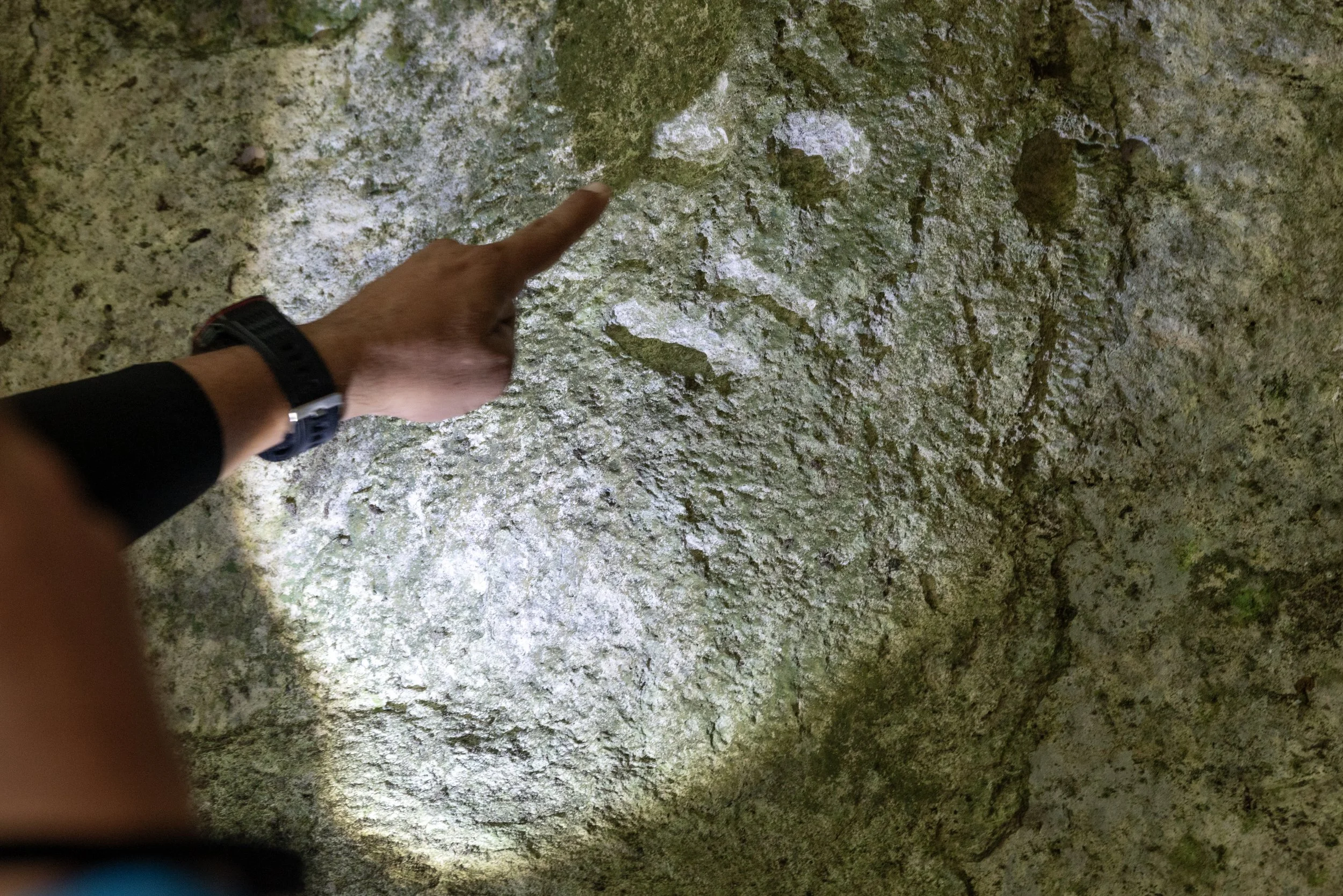 Cueva Ventana PR 03202026 02.jpg