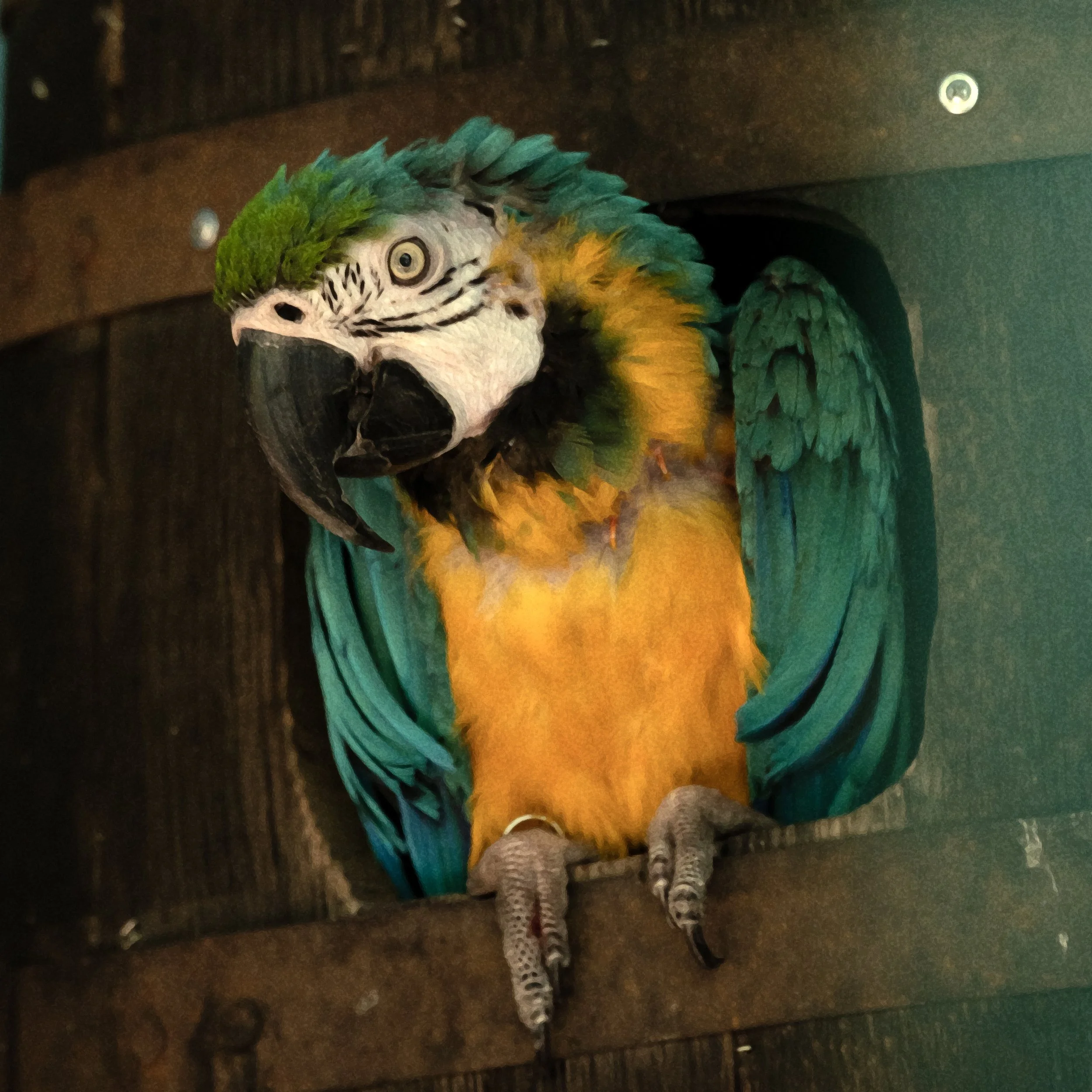 Ponce PR Don Q 03252026 06.jpg