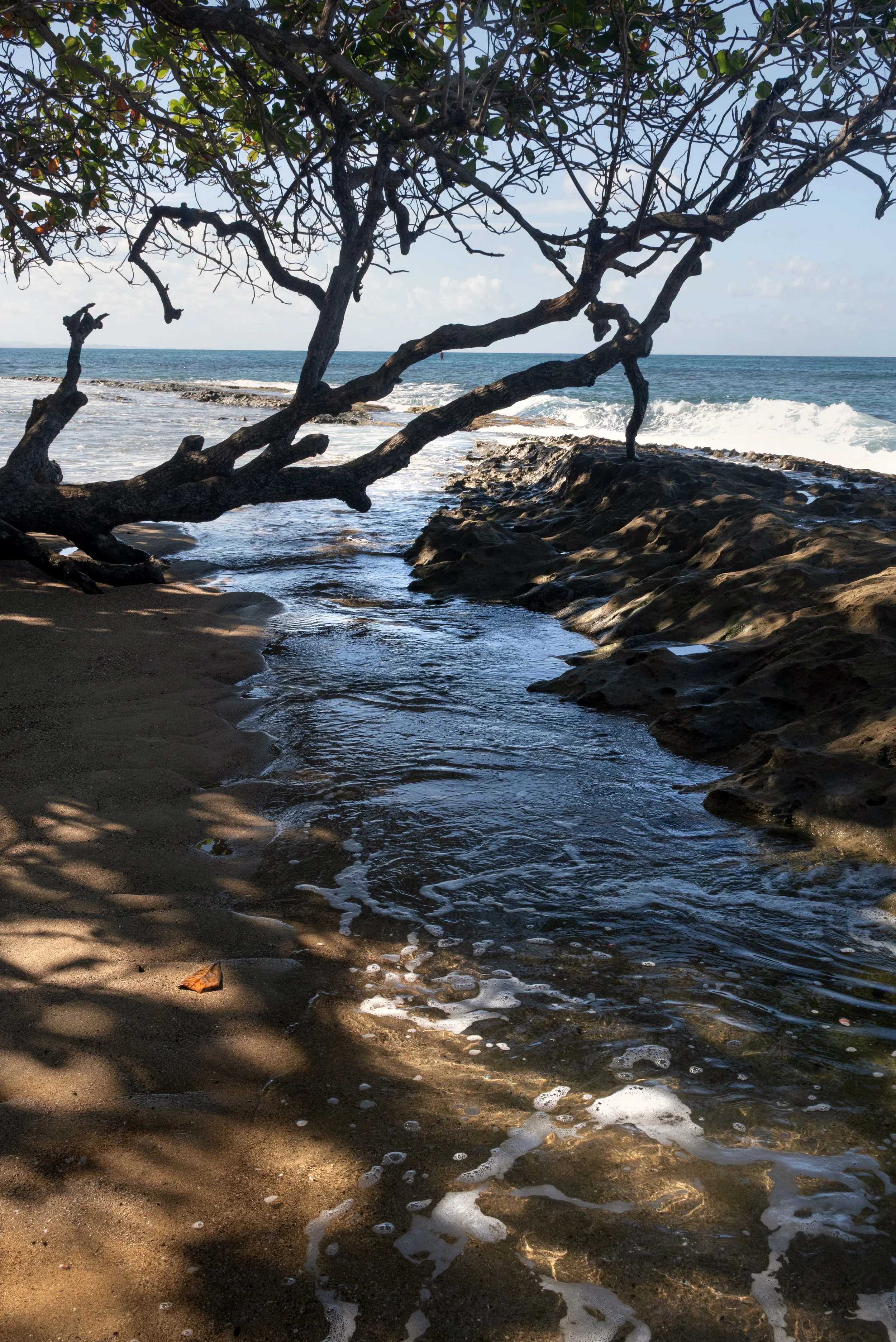 Rincon Beach PR 03202026 05.jpg