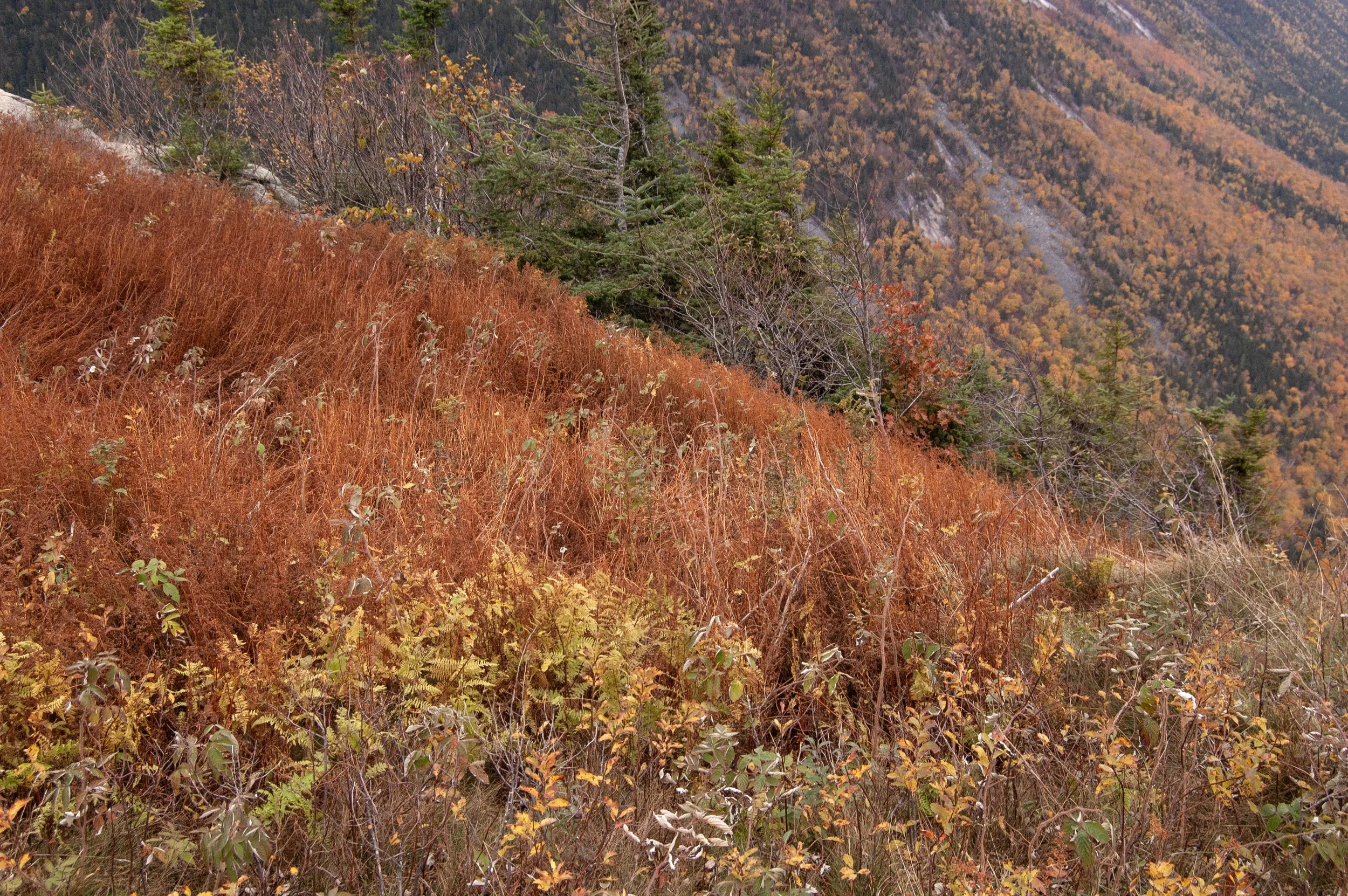 Crawford Notch New Hampshire 10092014 06.jpg