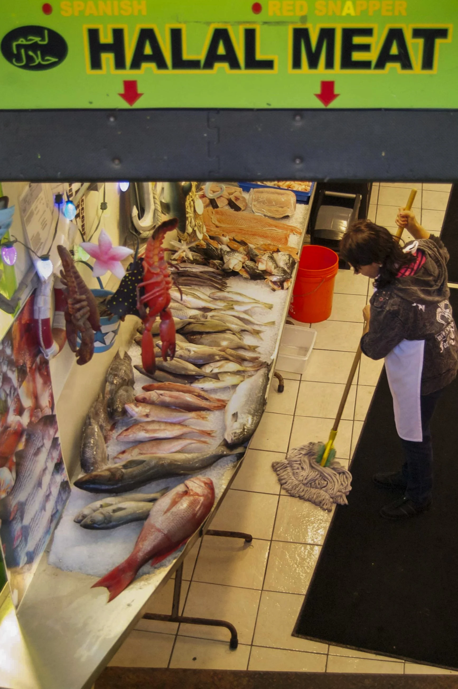 Boston 10022014 04.jpg