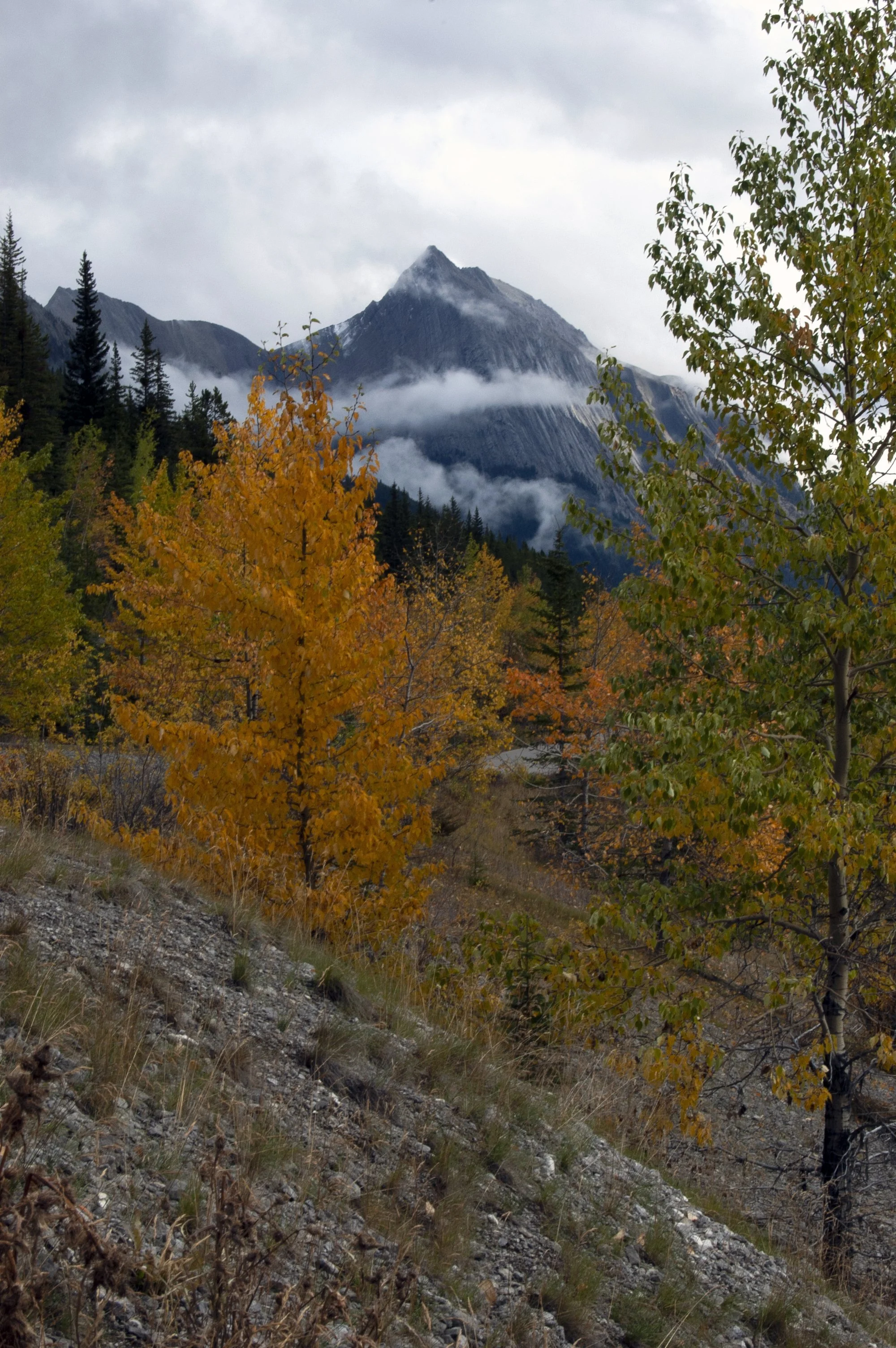 Canadian Rockies 2011 02.jpg