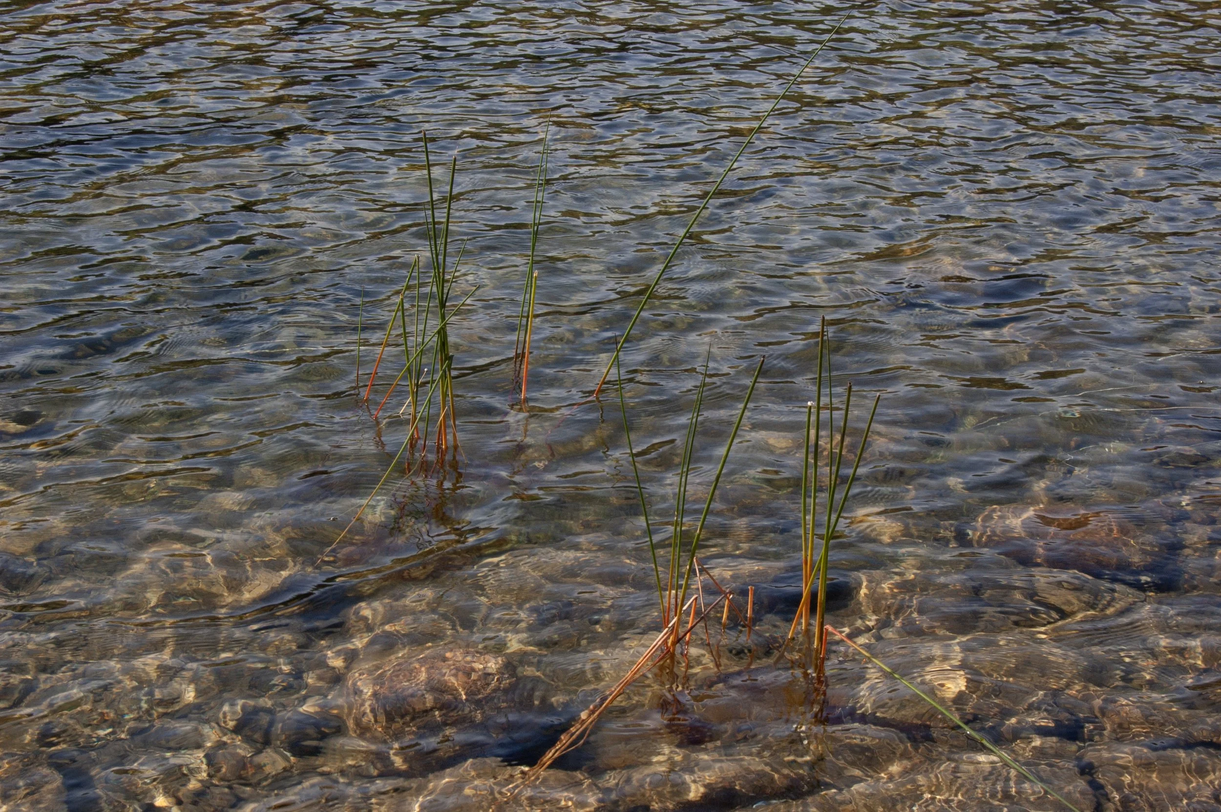 Acadia National Park 10072014 20A.jpg