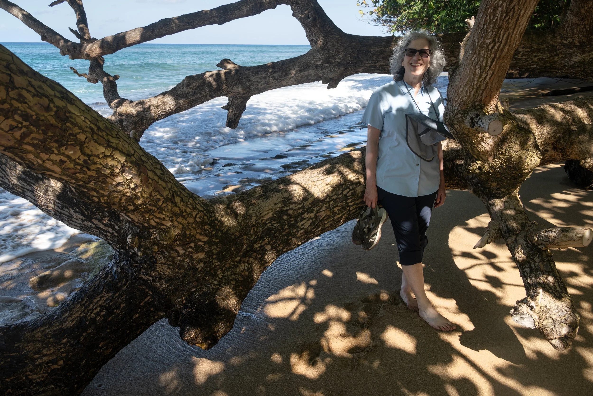 Rincon Beach PR 03202026 12.jpg