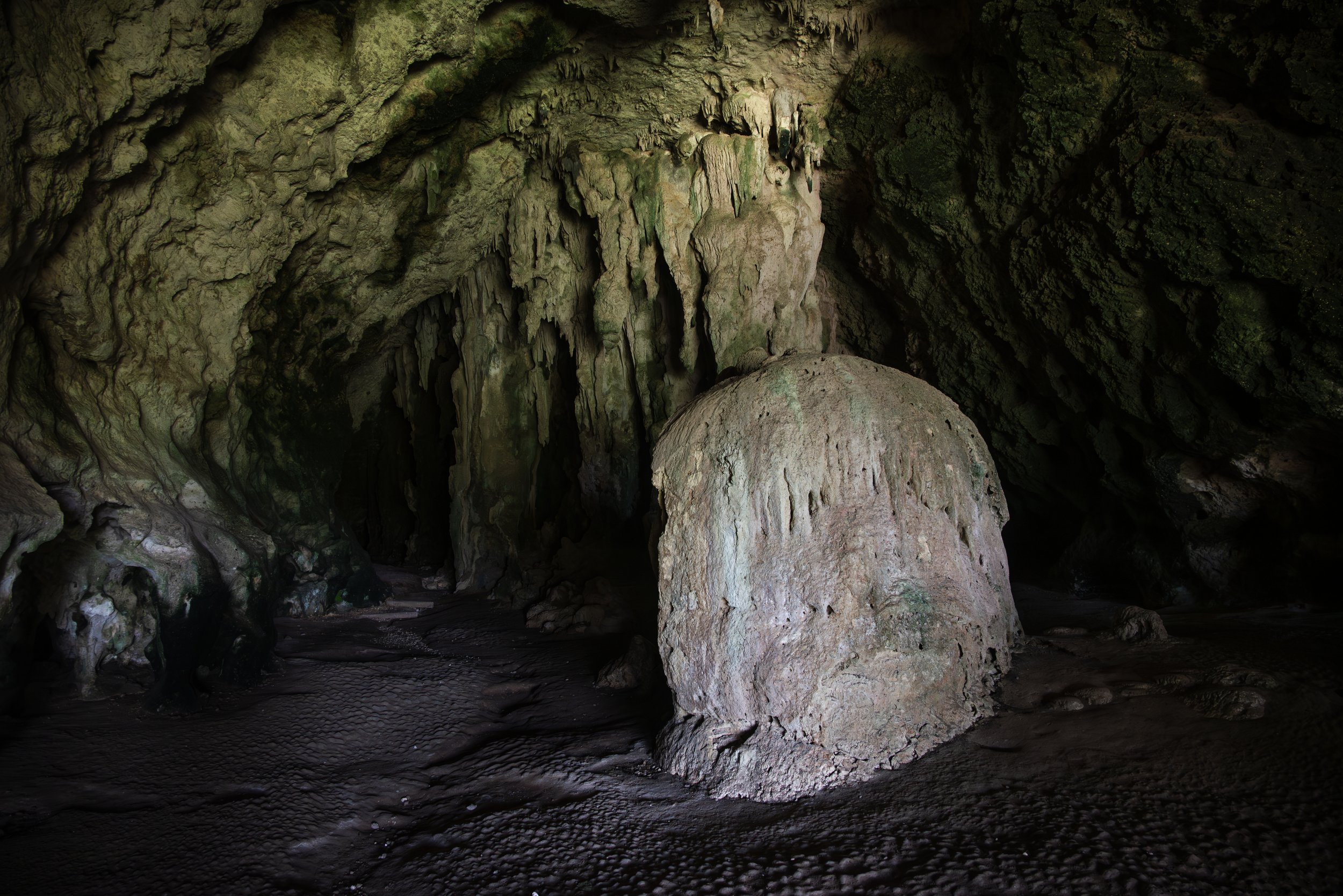 Cueva Ventana PR 03202026 08.jpg