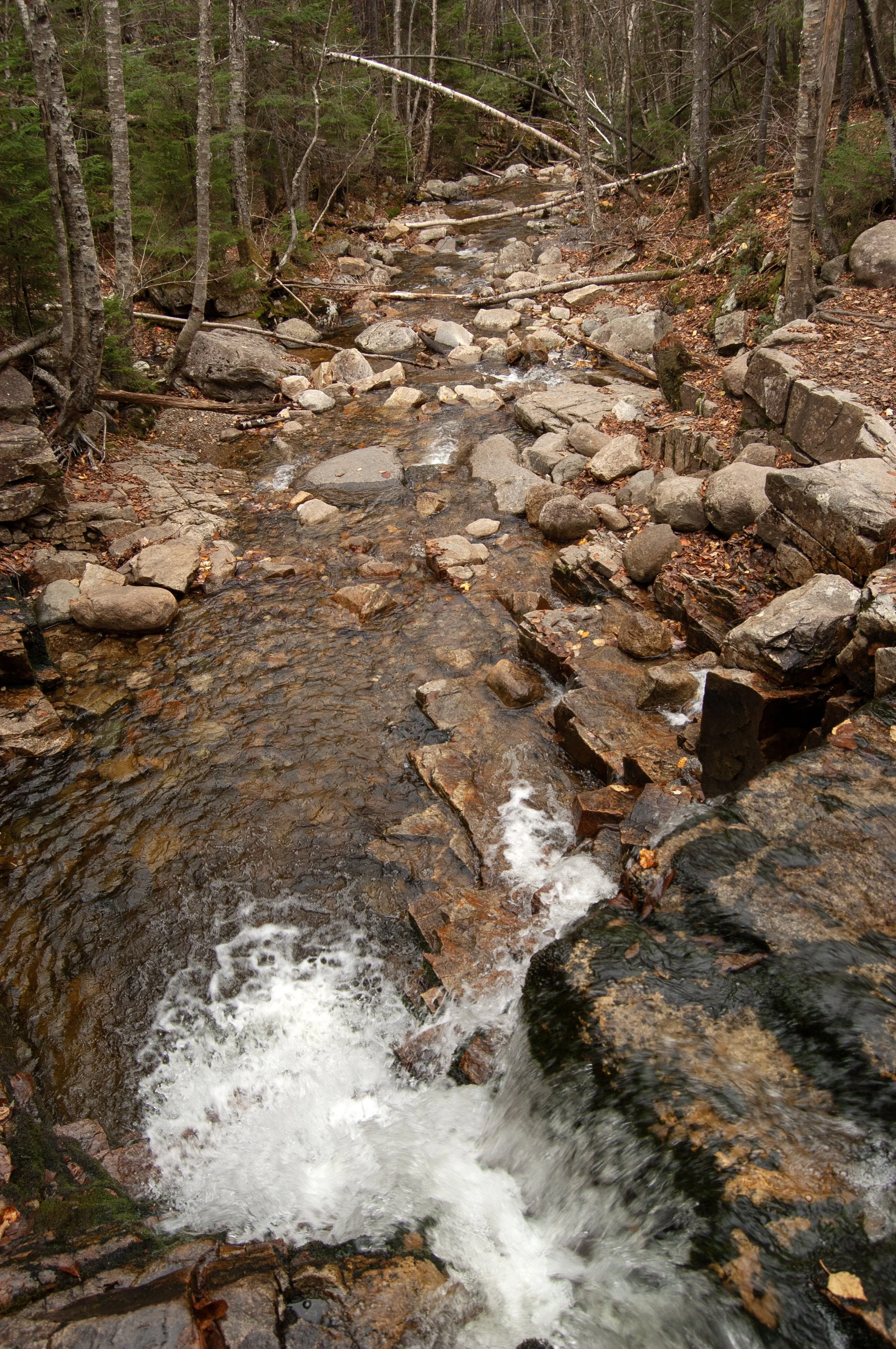 Crawford Notch New Hampshire 10092014 04.jpg