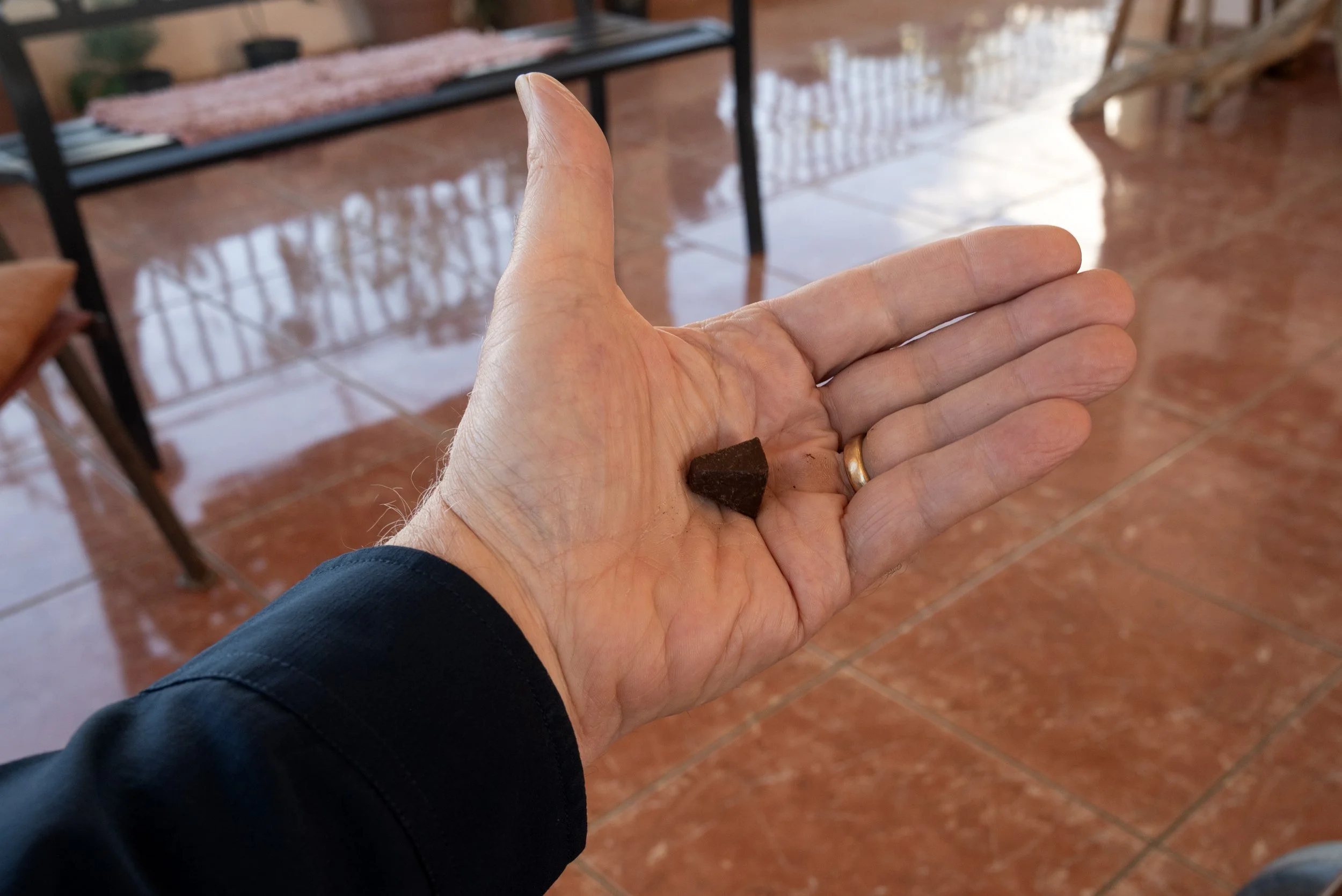 Sandra Farms Adjuntas PR 03192026 18H.jpg