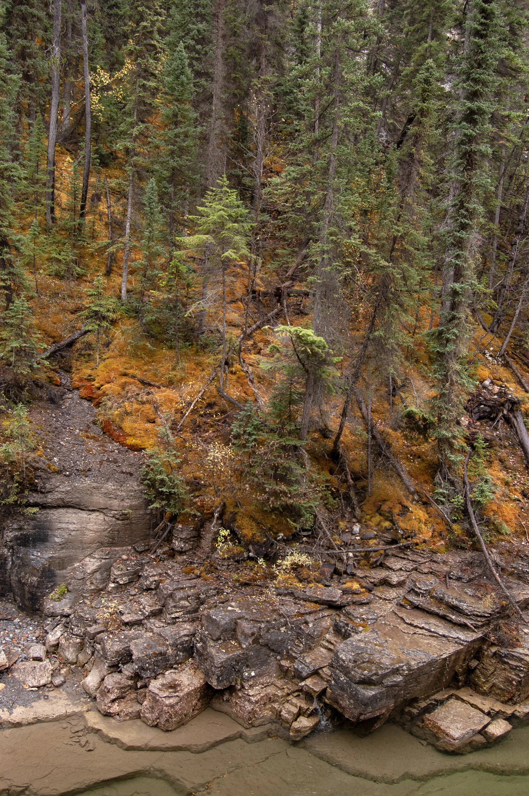 Jasper NTL Park Maligne Canyon 10022011 06.jpg